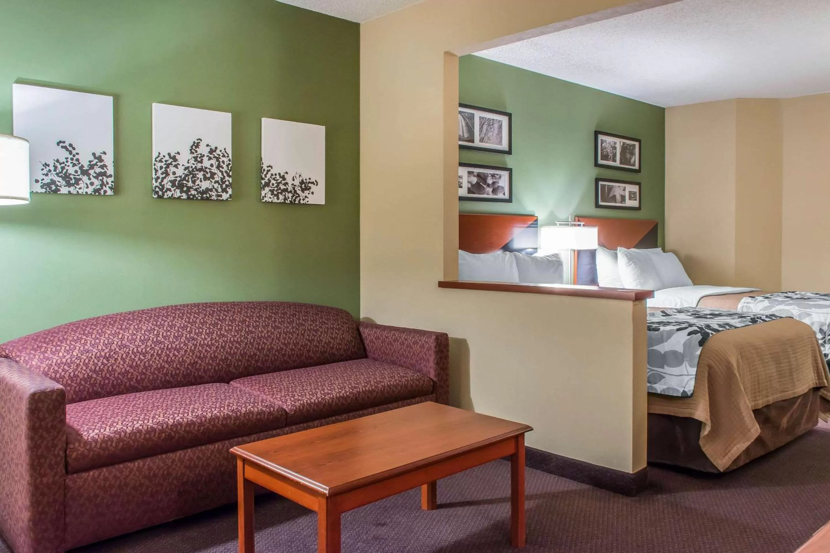 Photo of the whole room, Bed in Sleep Inn & Suites of Lancaster County