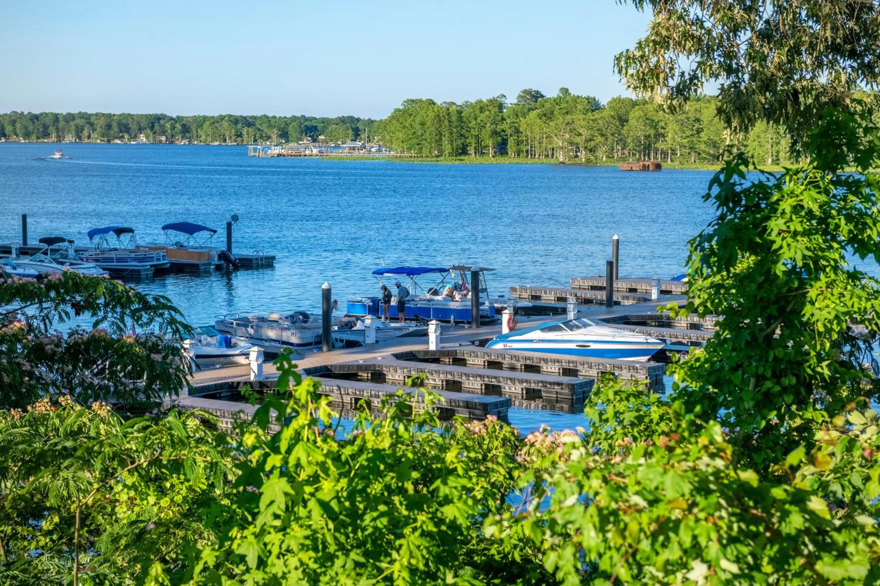 View (from property/room) in Rivers Rest Resort