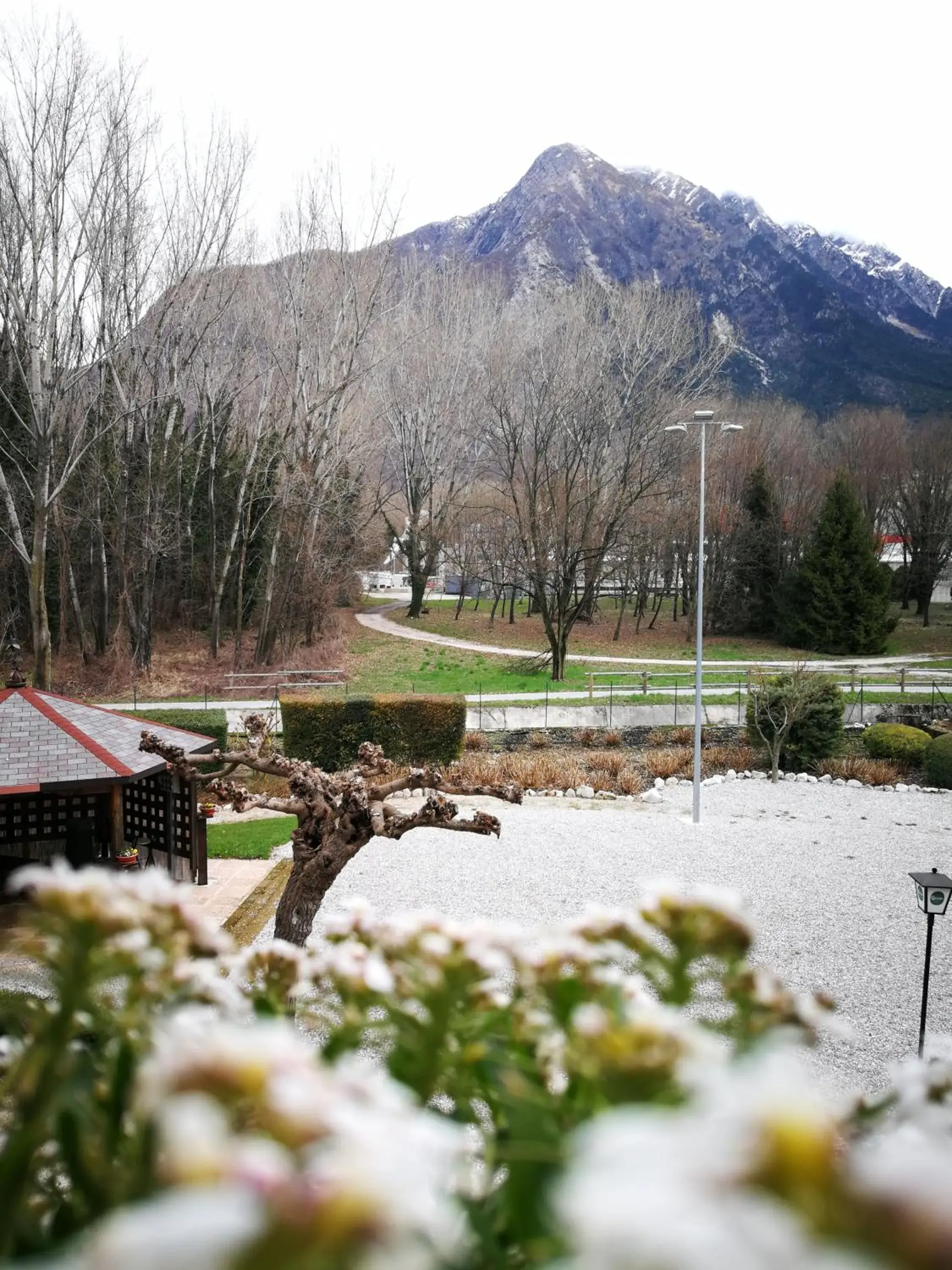 Hotel Willy Hotel Willy