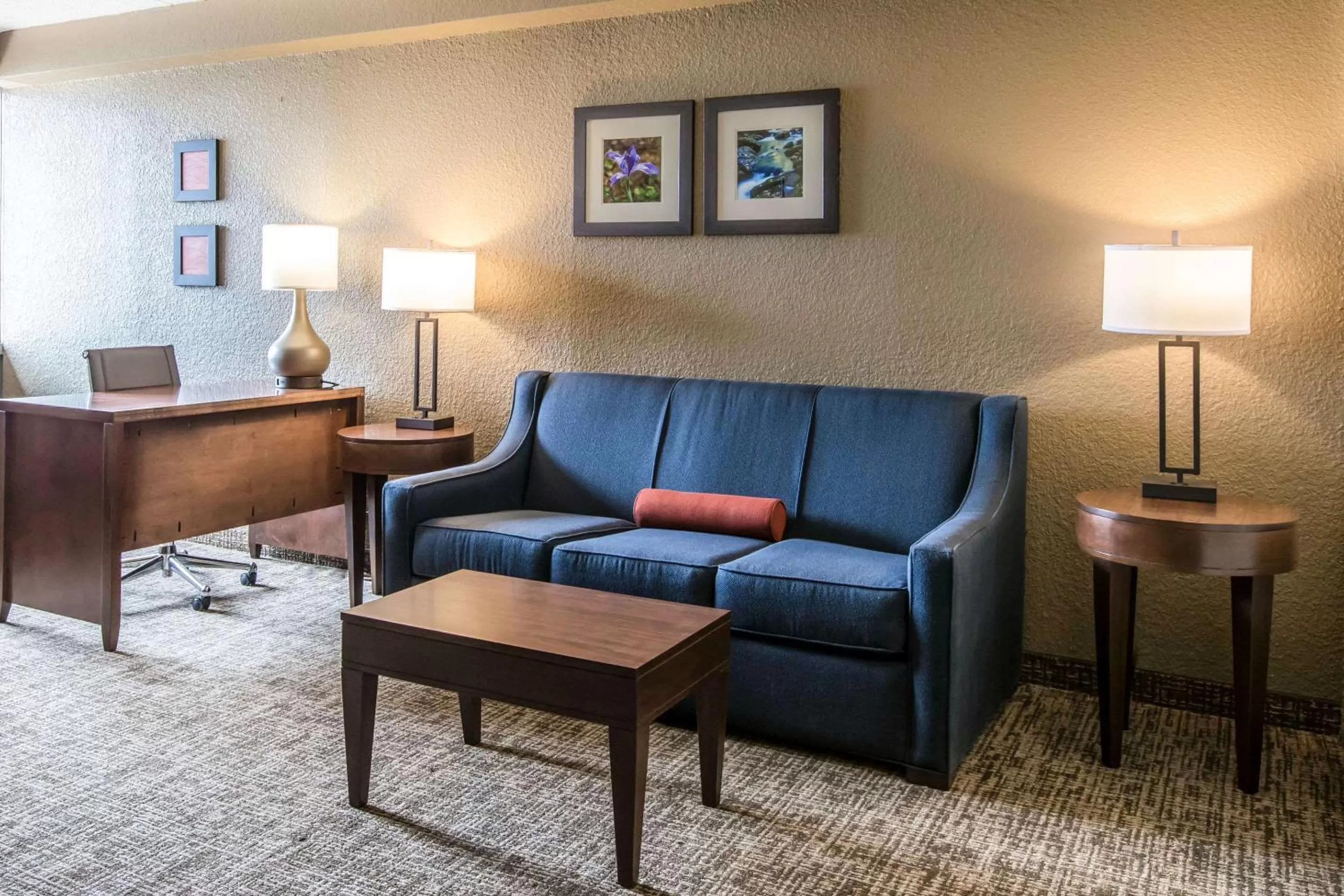 Photo of the whole room in Comfort Inn & Suites Knoxville West