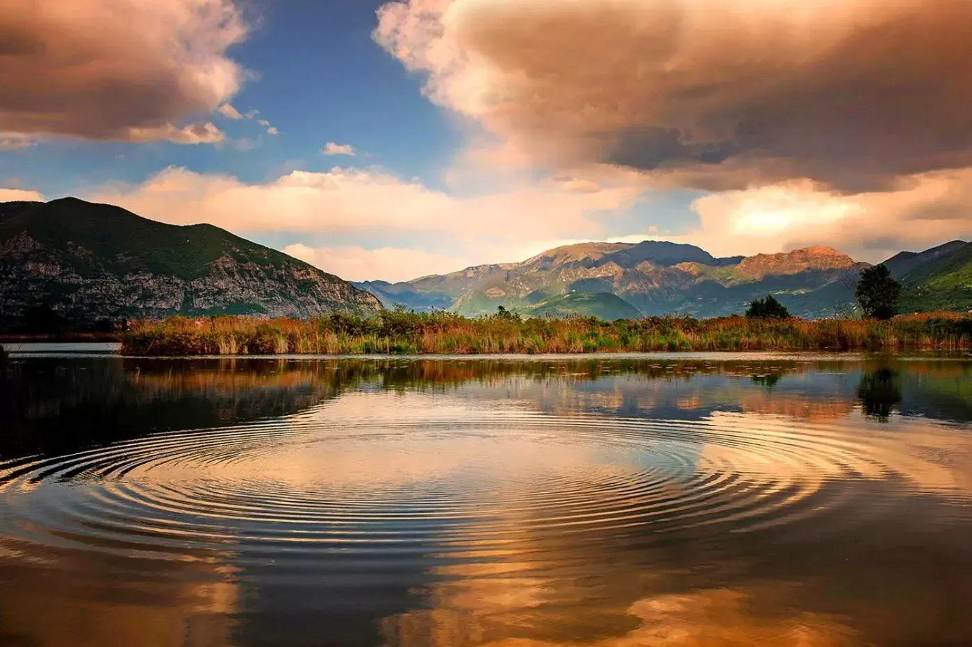 Riflessi d'Arte Riflessi d'Arte