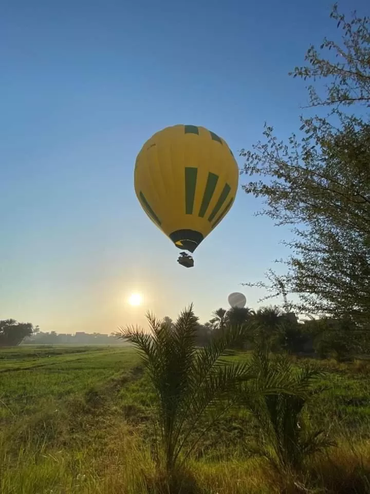 Activities in Nour El Balad