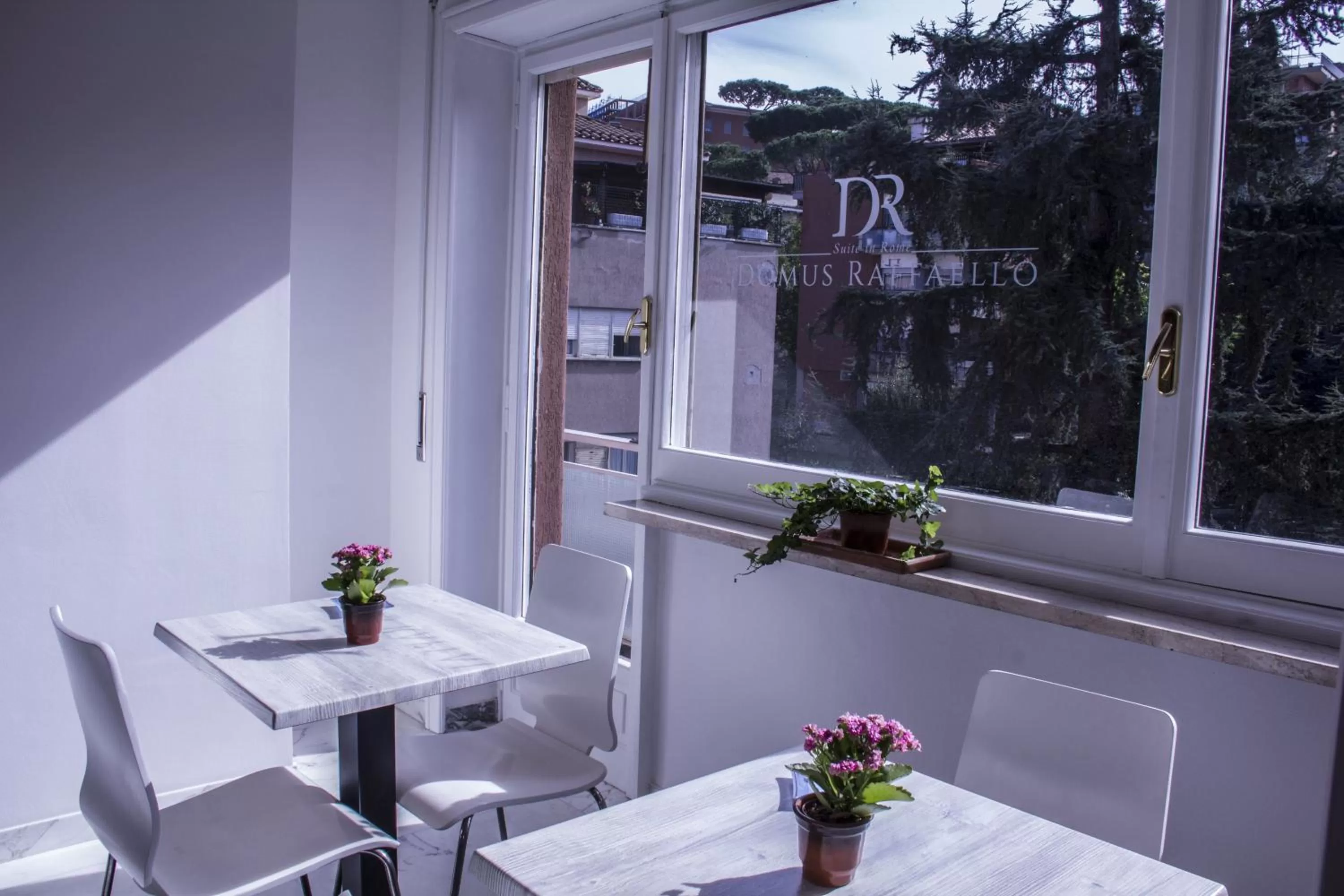 Restaurant/places to eat in Domus Raffaello