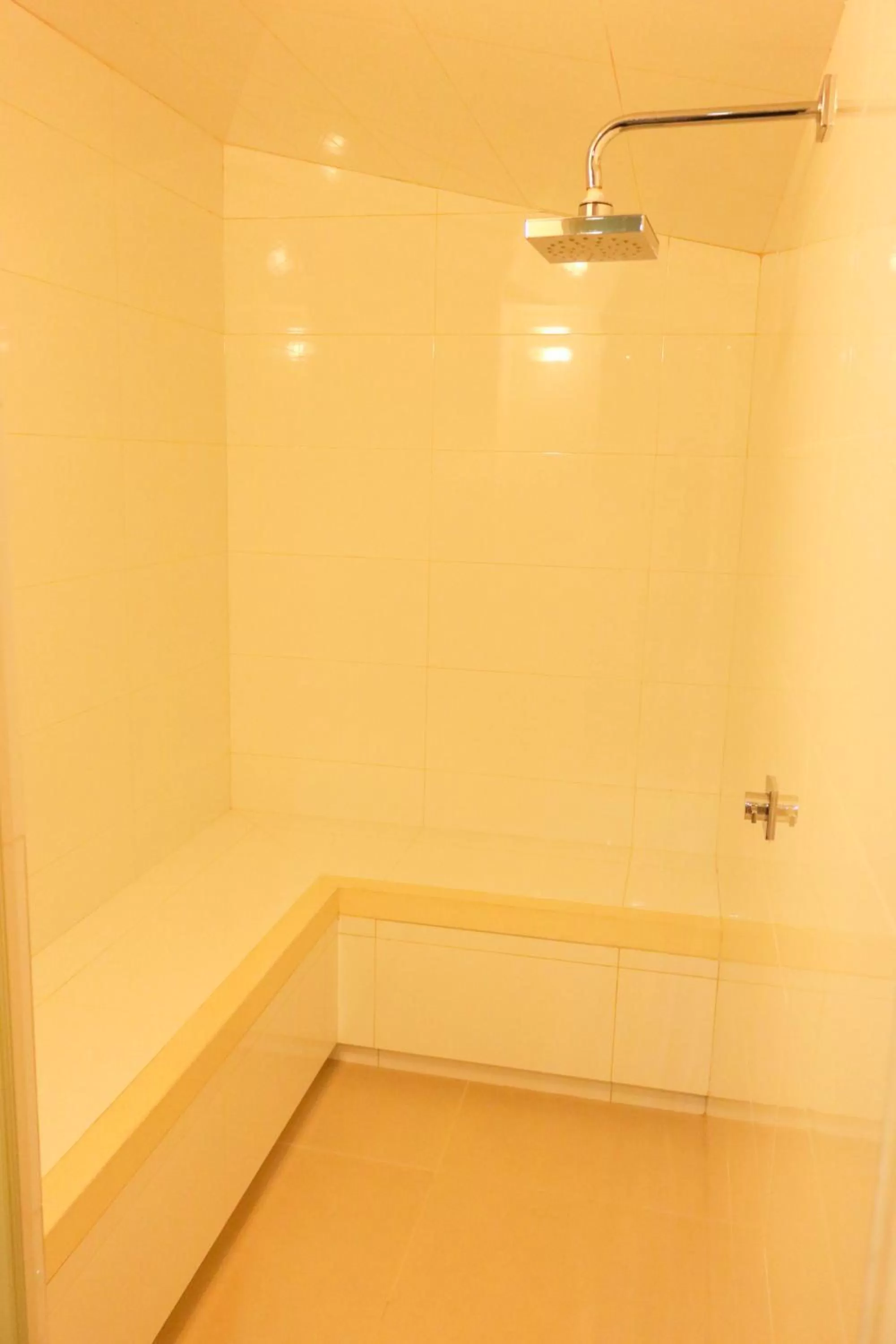 Steam room in Hotel Loyds