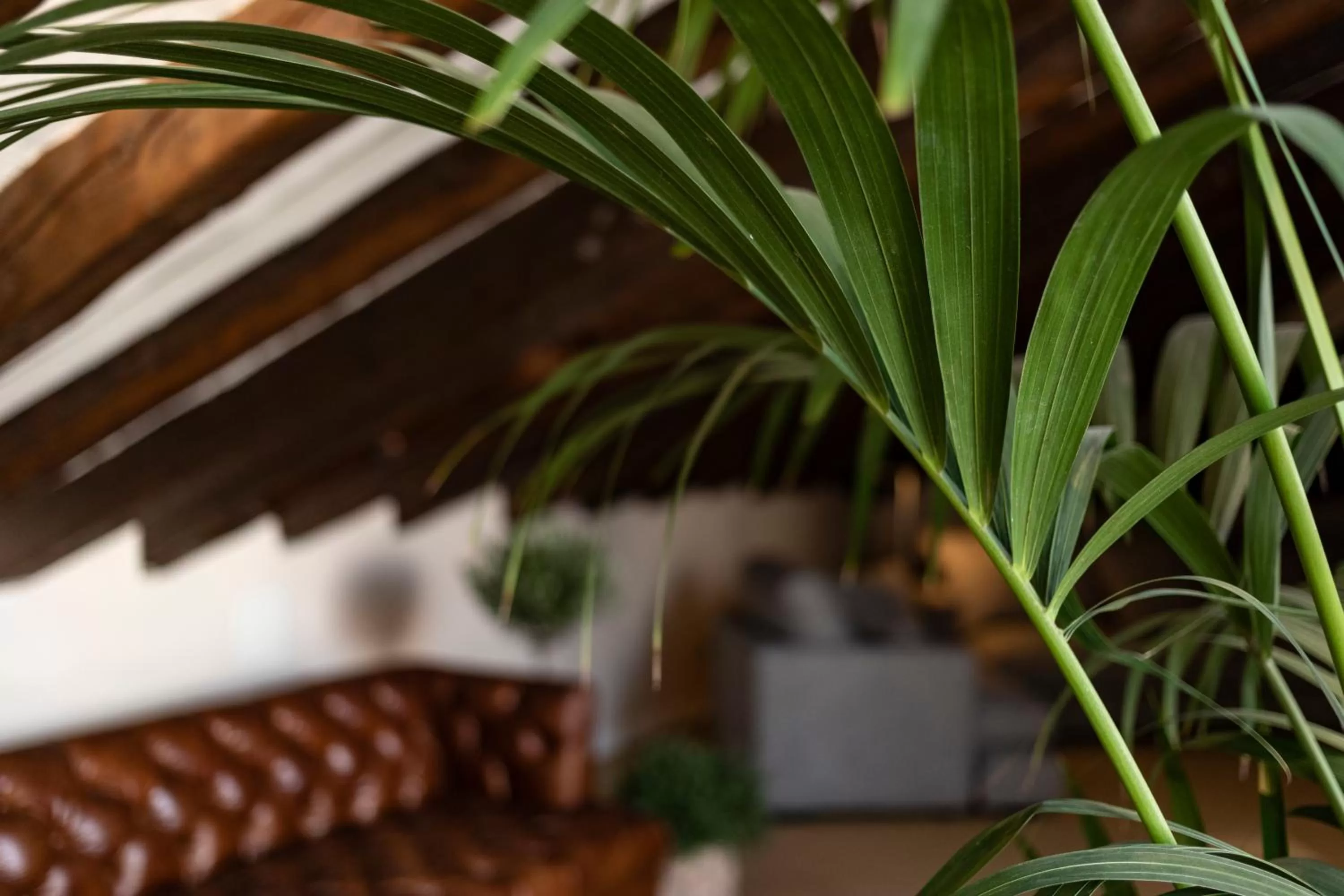 Communal lounge/ TV room in Petit Palace Preciados