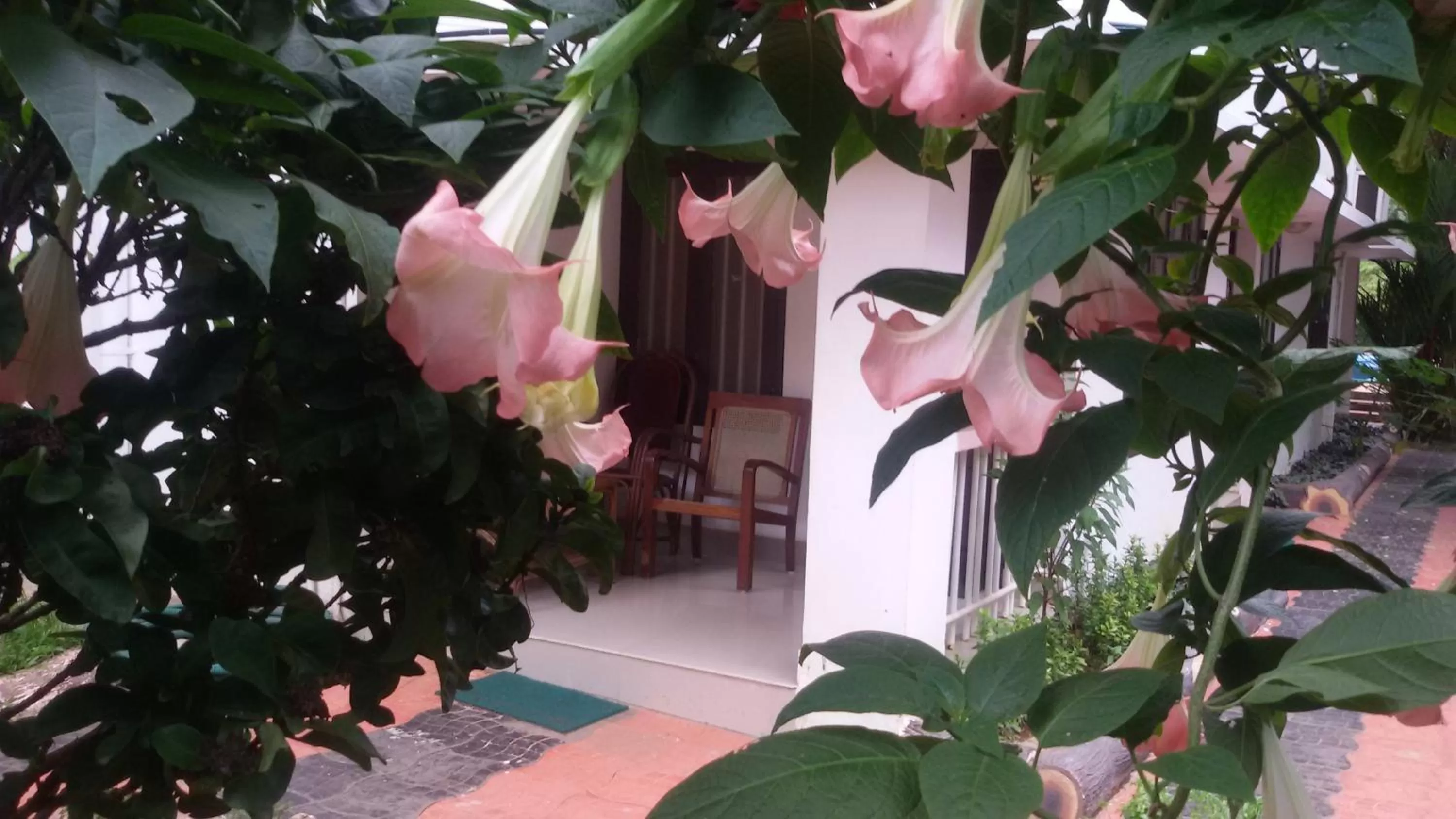 Balcony/Terrace in Raja Park Beach Resort