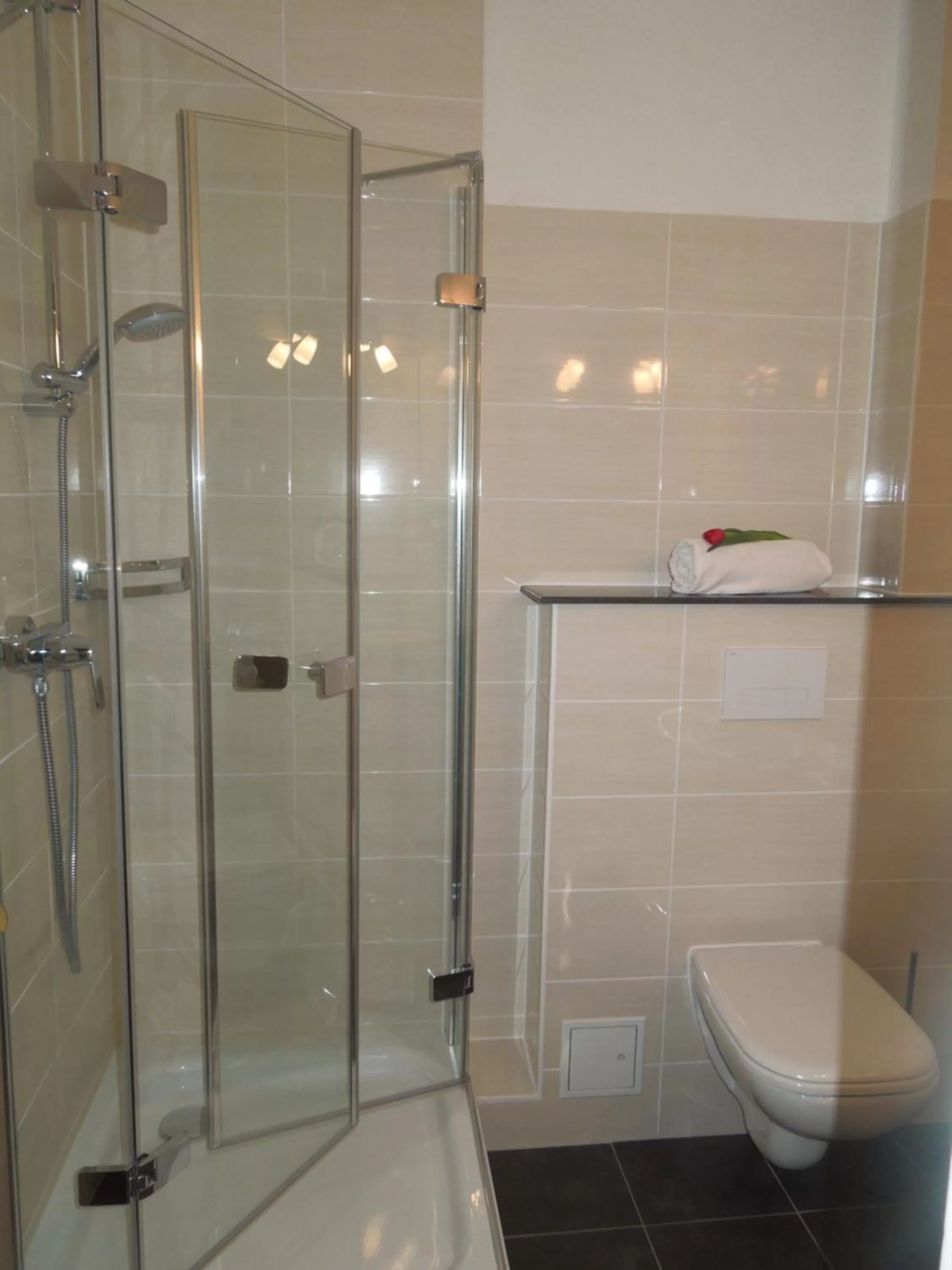 Shower in Hotel Schnehagen