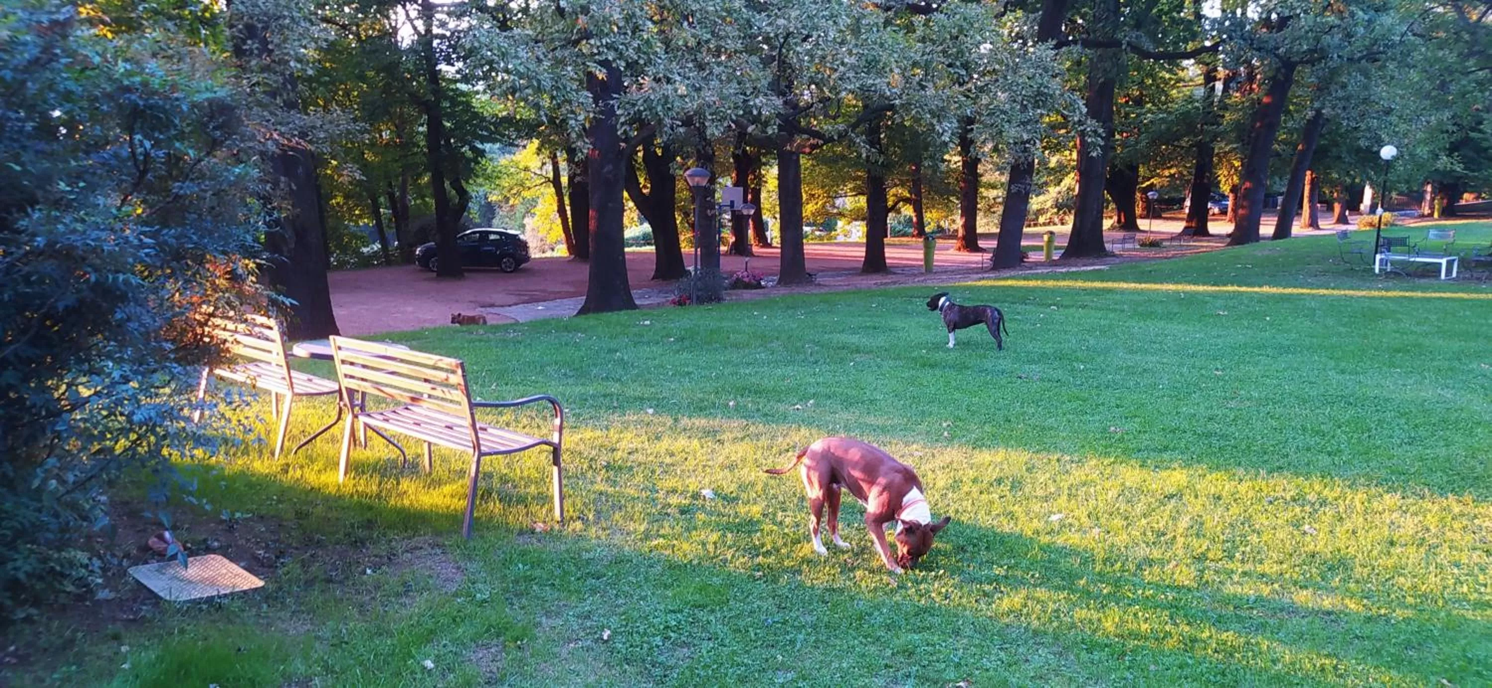 "La Selvetta" bed and breakfast