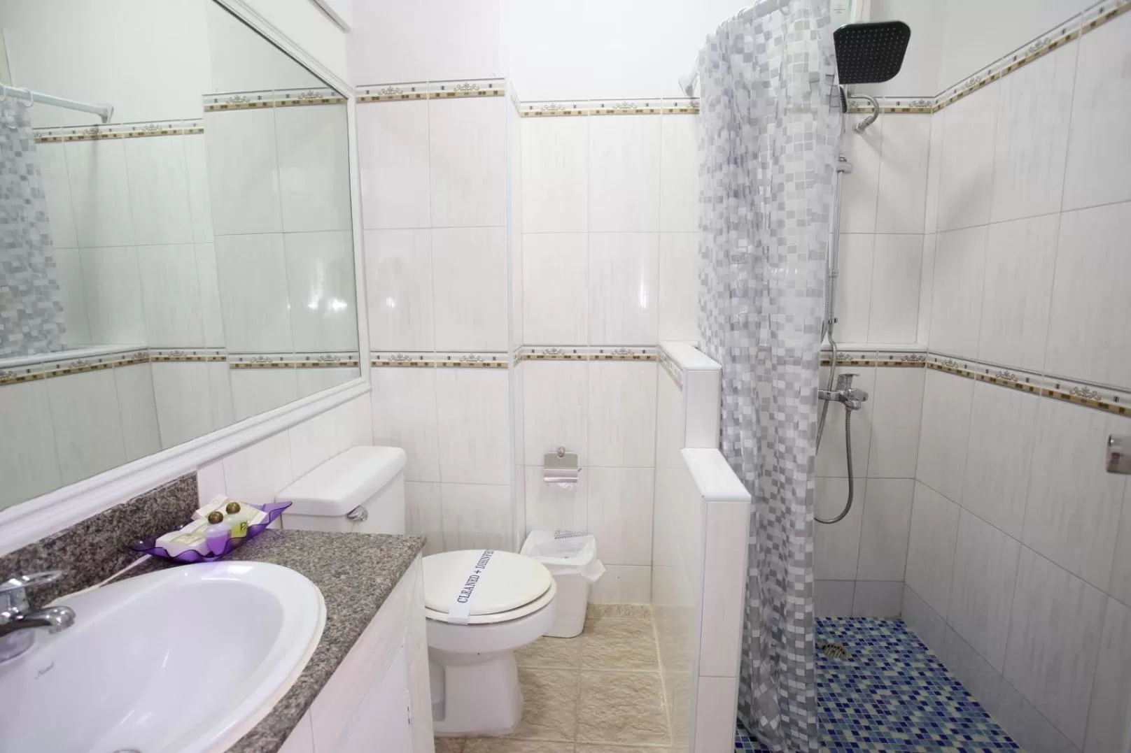 Shower in PJ Watergate Hotel