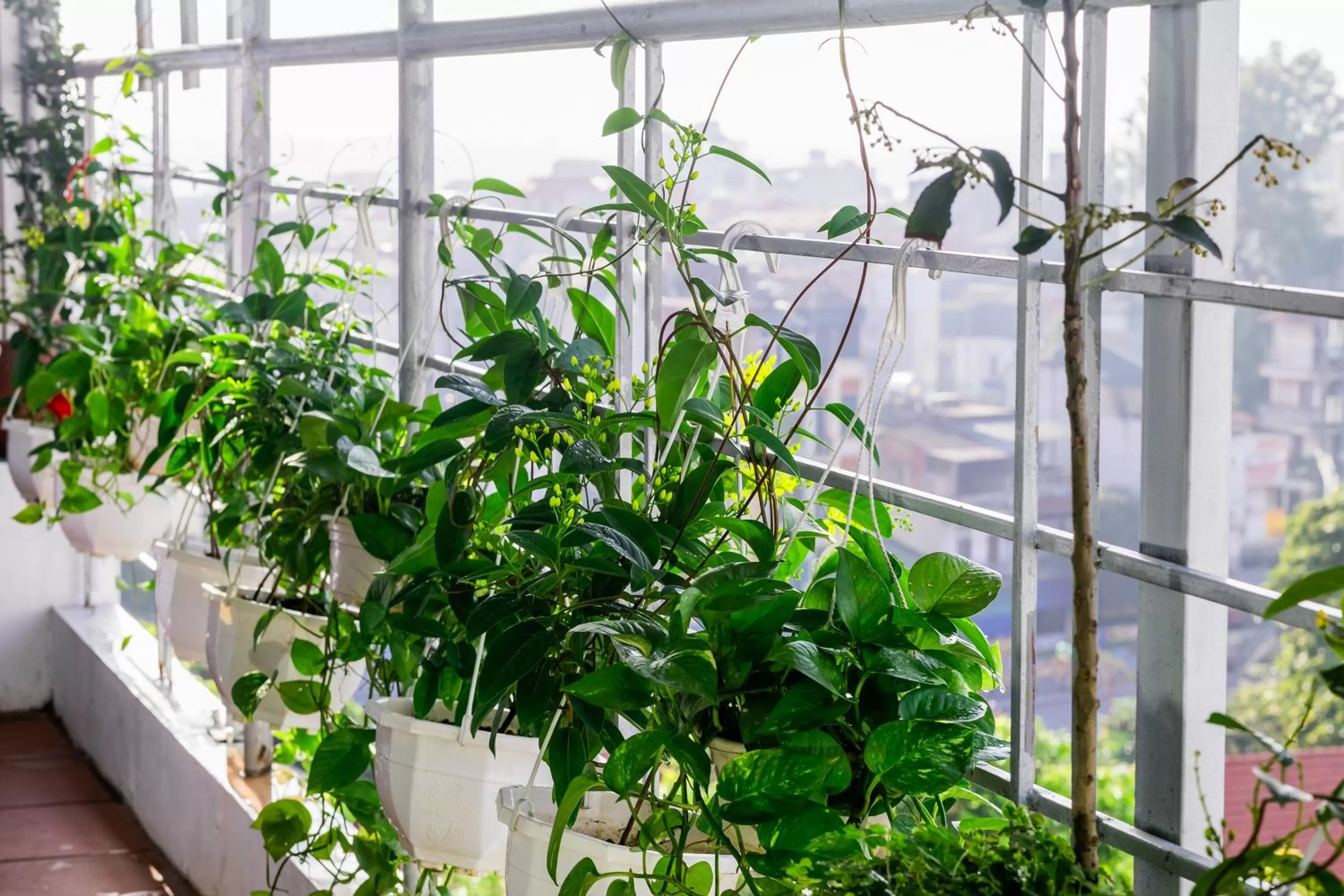 Restaurant/places to eat in Hanoi Stella Hotel