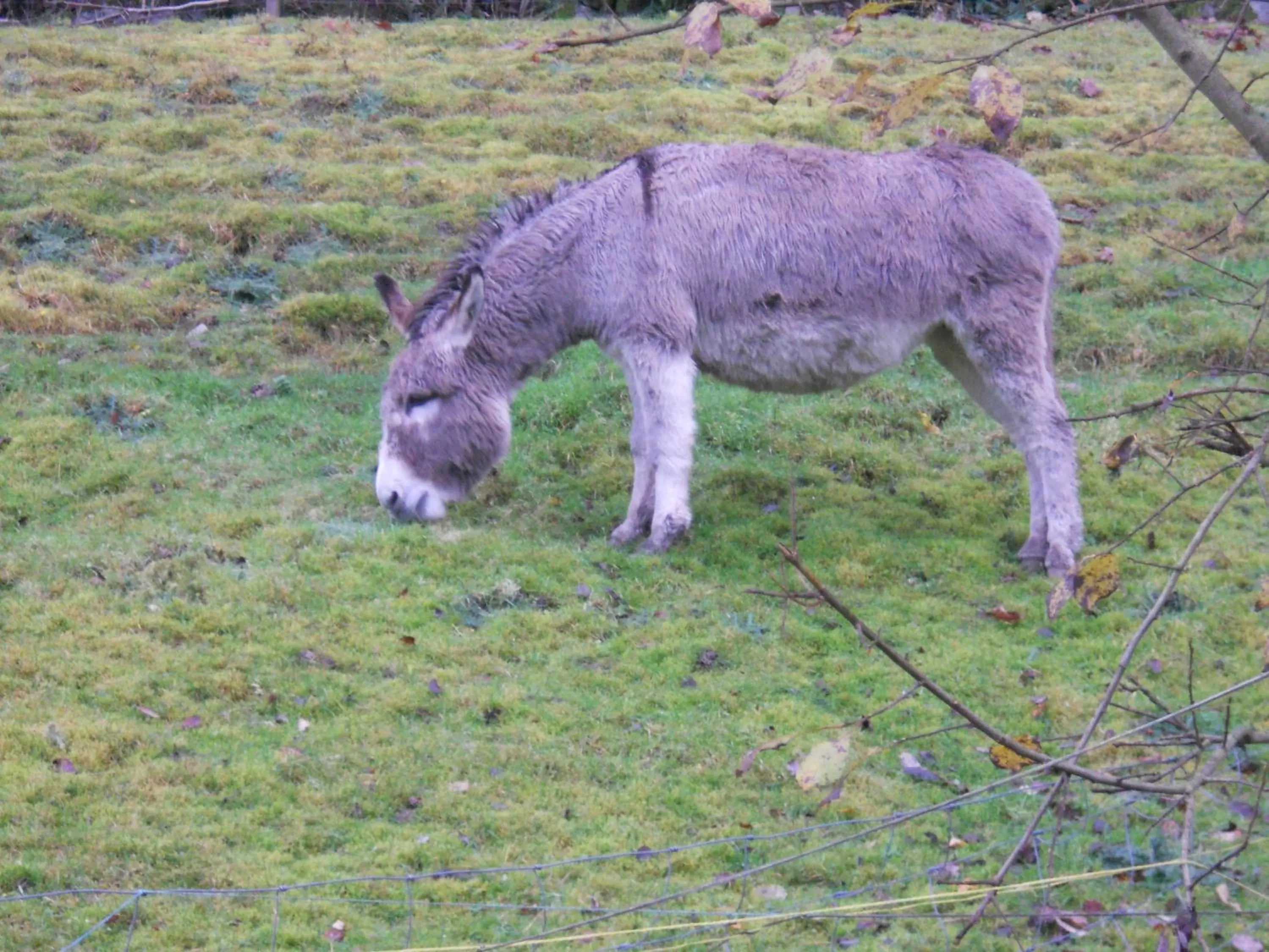 Facade/entrance in Auberge du Saut des Cuves