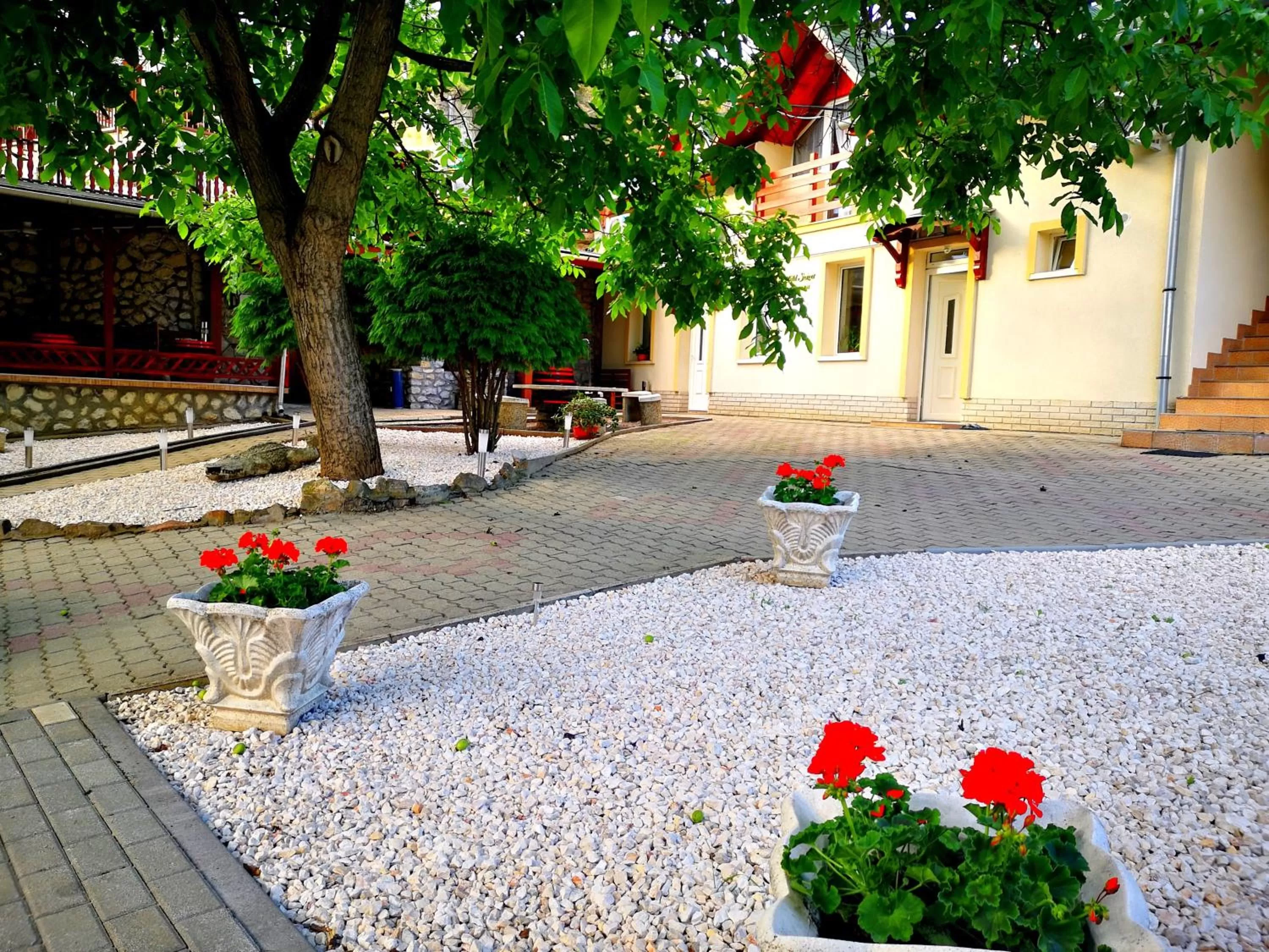 Zöld Sziget Wellness