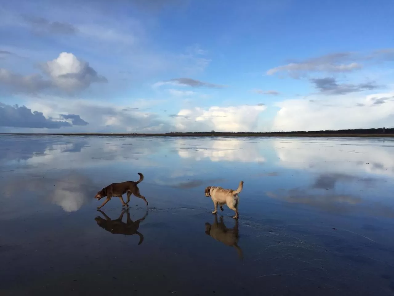 Beach in Lieblingsplatz Strandhotel