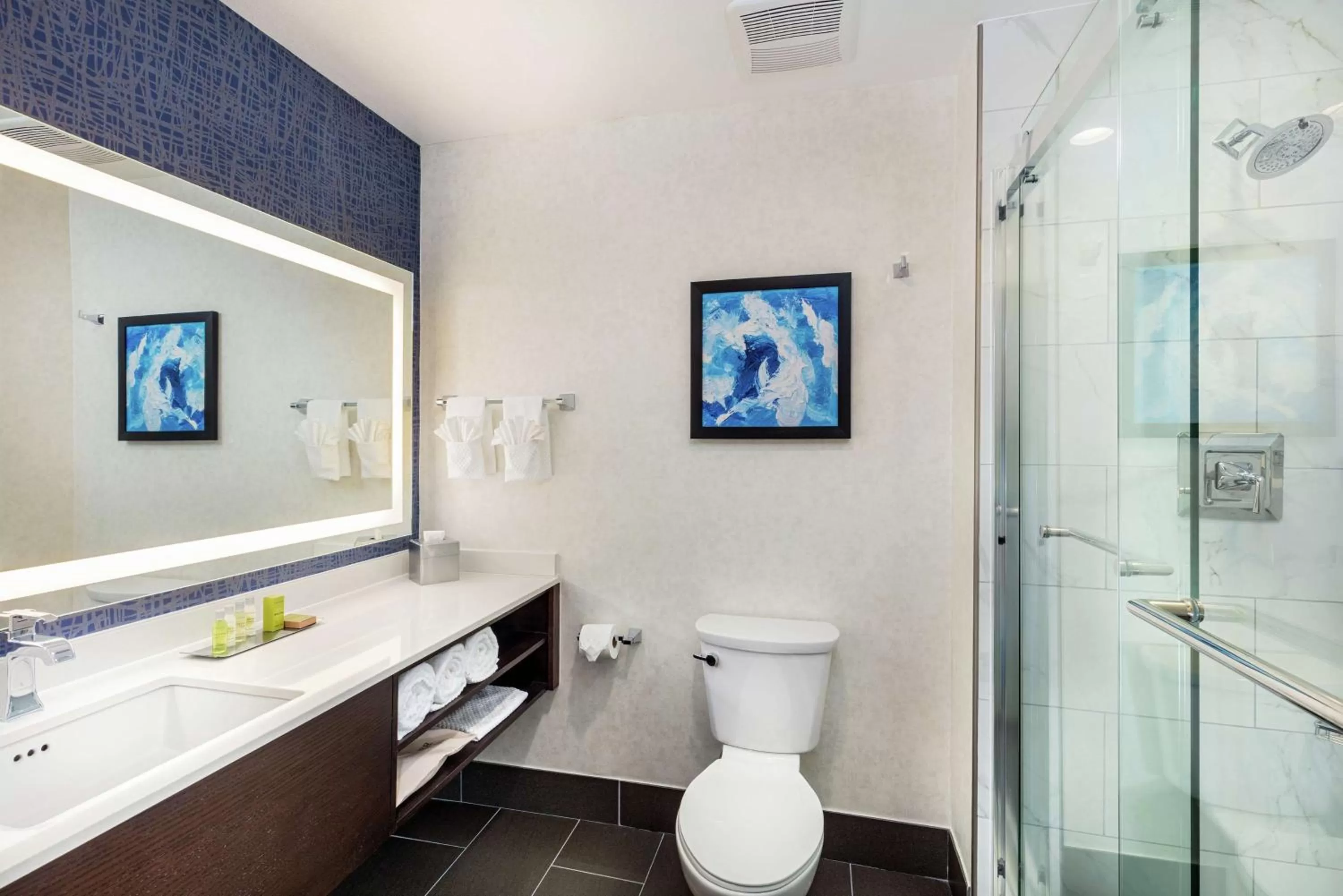 Bathroom in Doubletree By Hilton Pomona