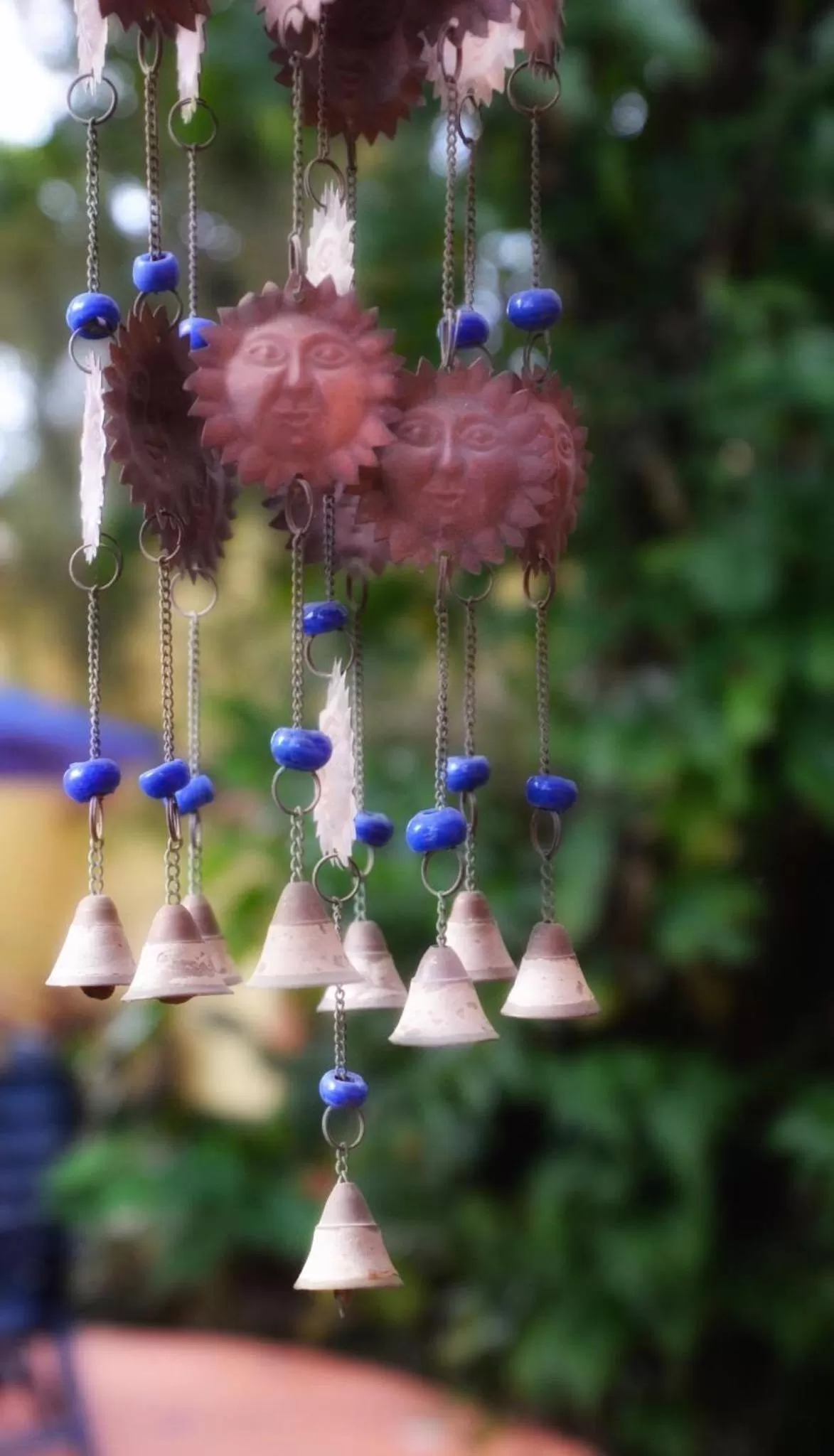 Other Animals in Pousada Canto Bella Terra