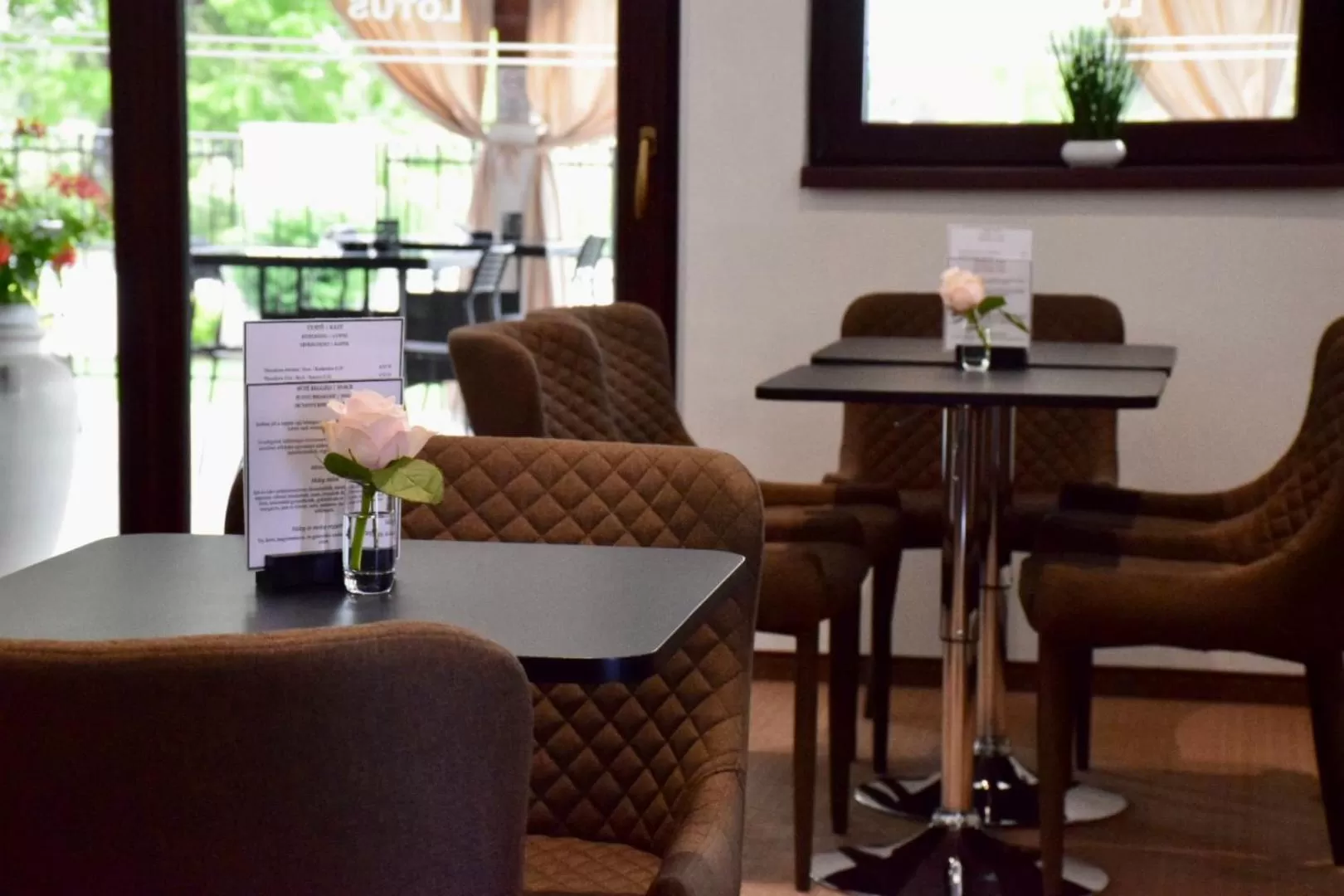 Restaurant/places to eat in Hotel Lotus