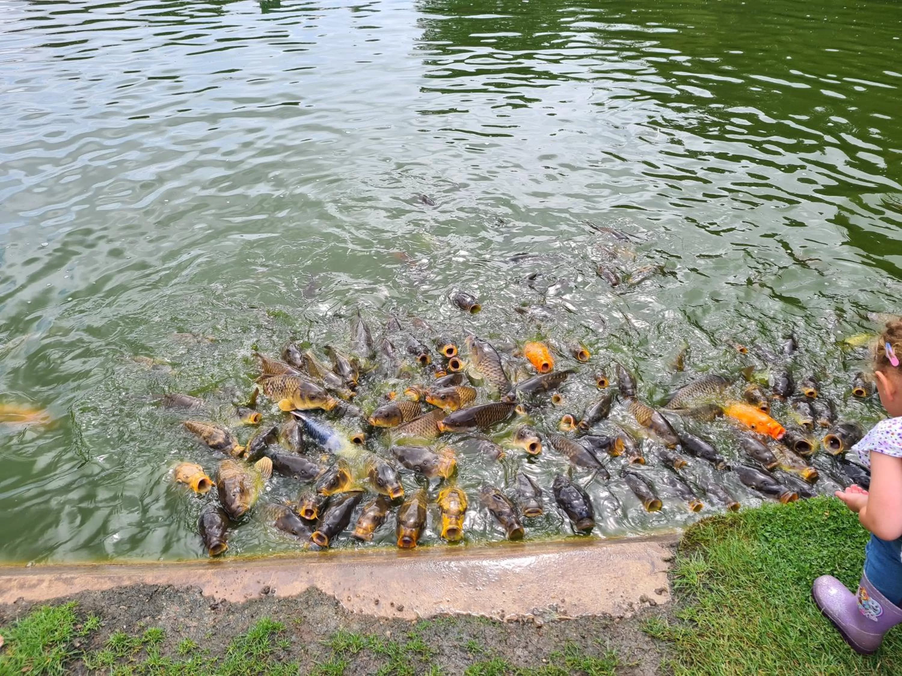 Natural landscape in Ria's B n B