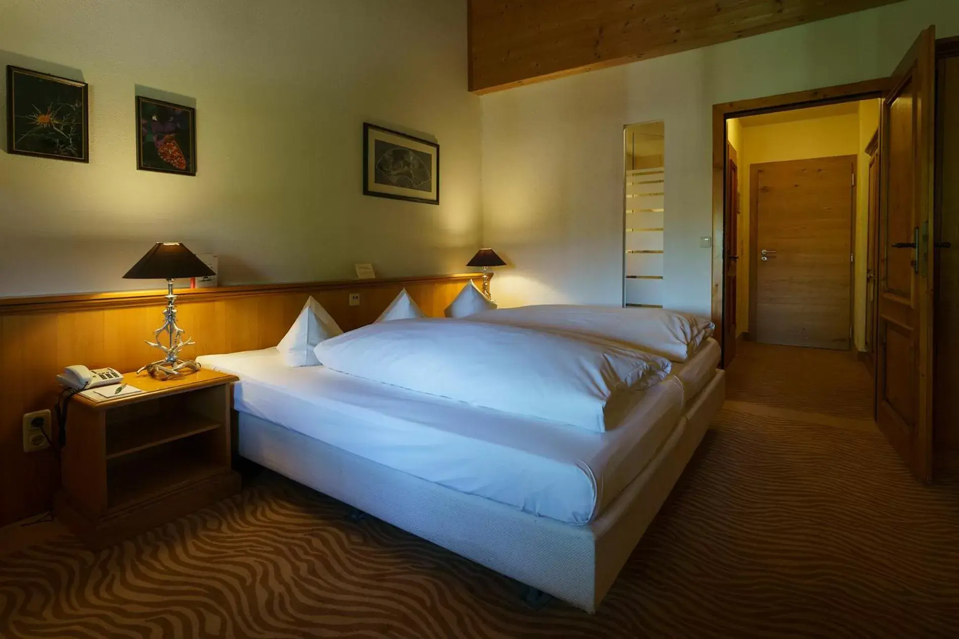 Double Room - single occupancy in Parkhotel am Soier See Double Room - single occupancy in Parkhotel am Soier See