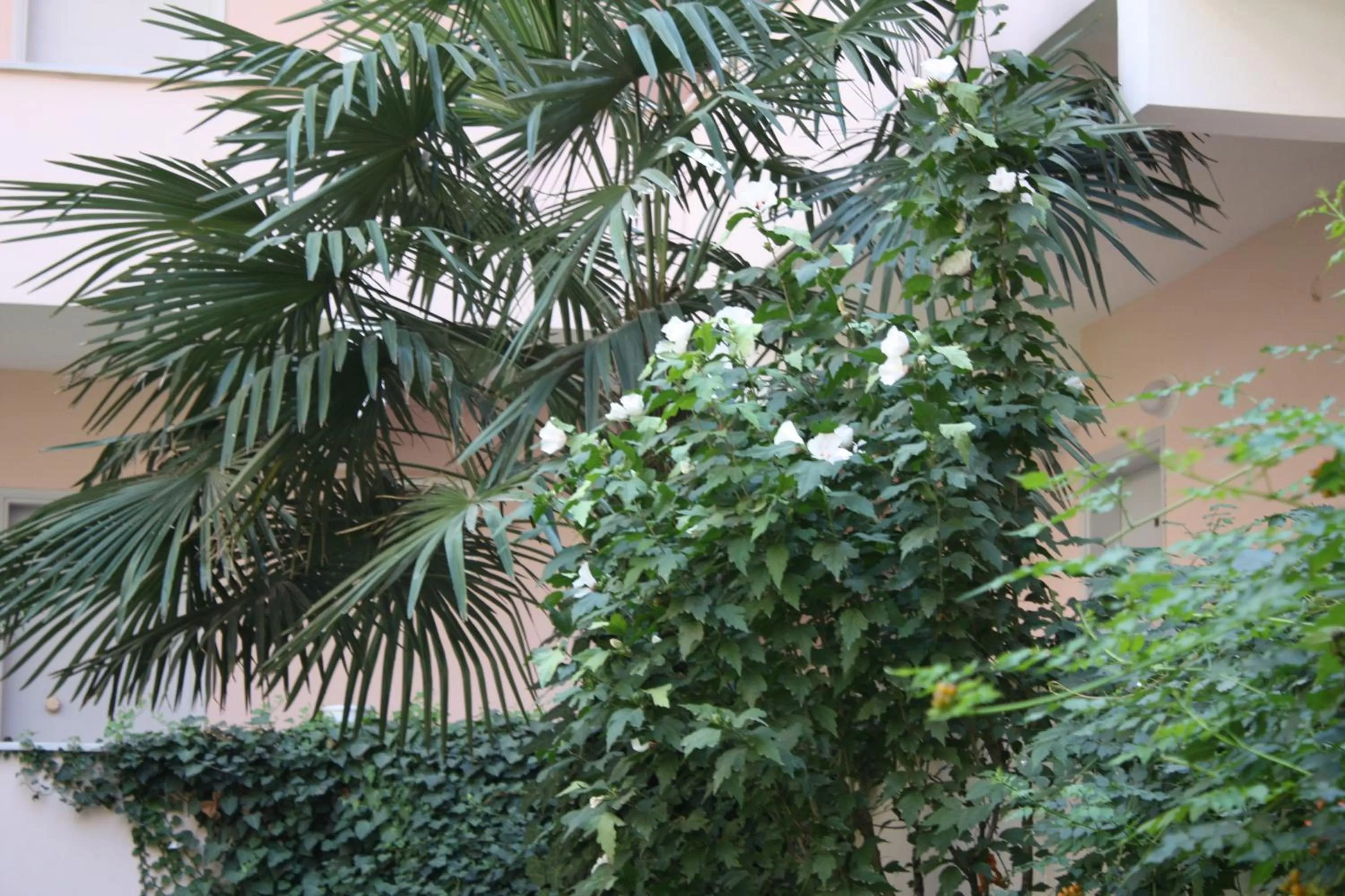 Garden in Orçin Apart Hotel