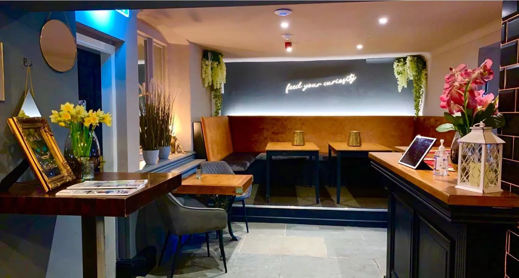 Lounge or bar in The Curious Fox