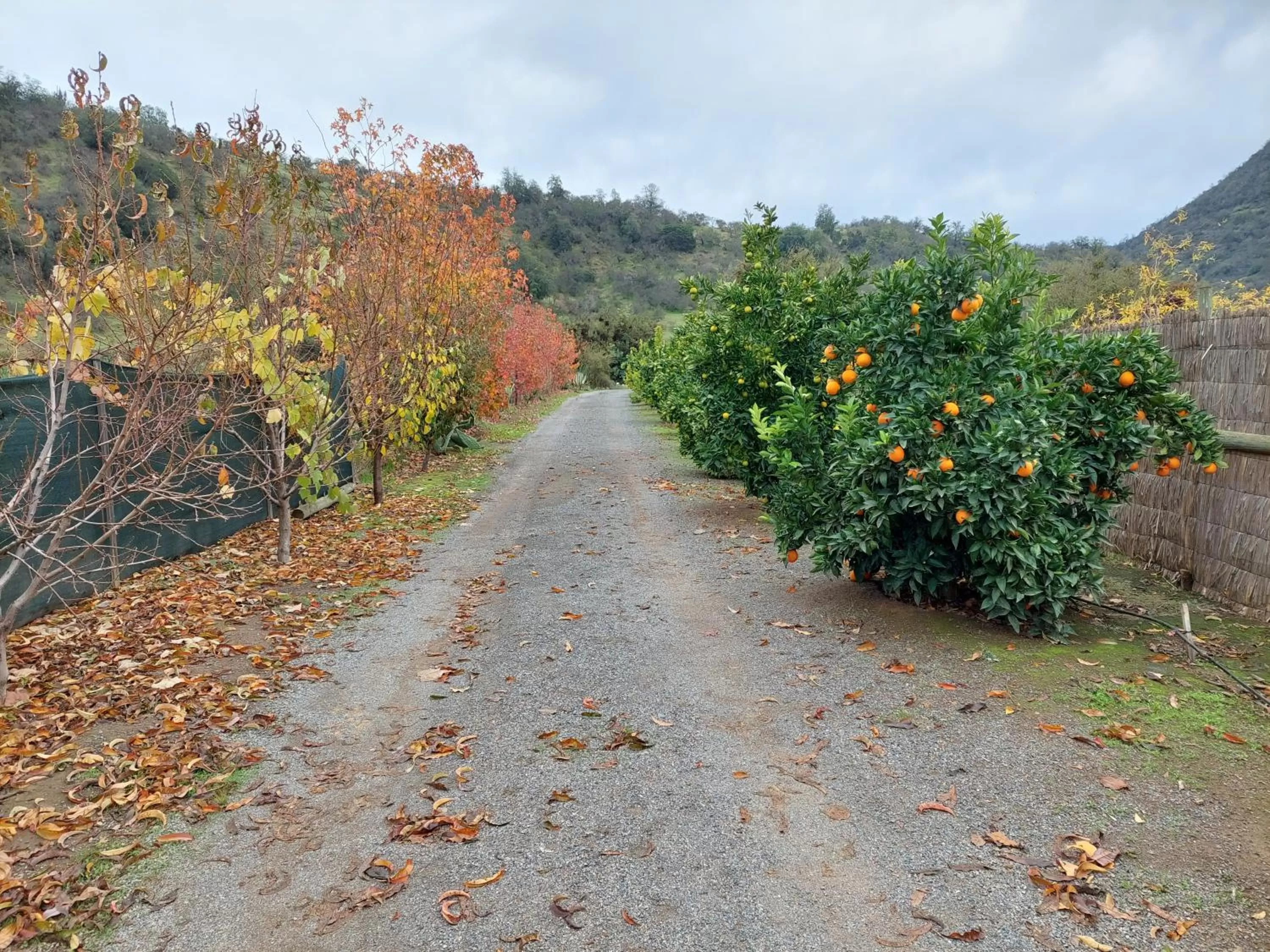 Lobby or reception in Callihue Lodge
