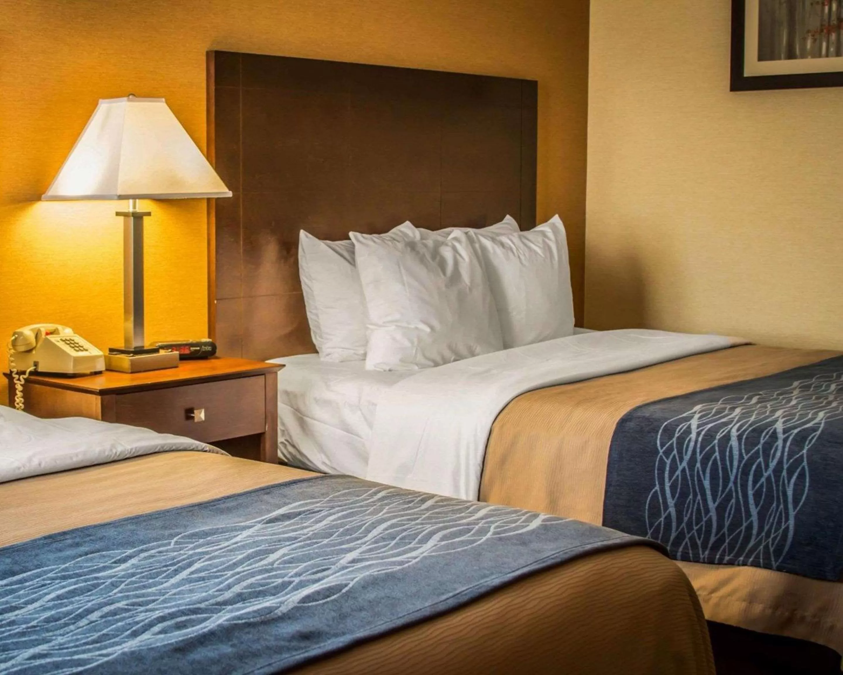 Photo of the whole room, Bed in Quality Inn & Suites Port Huron