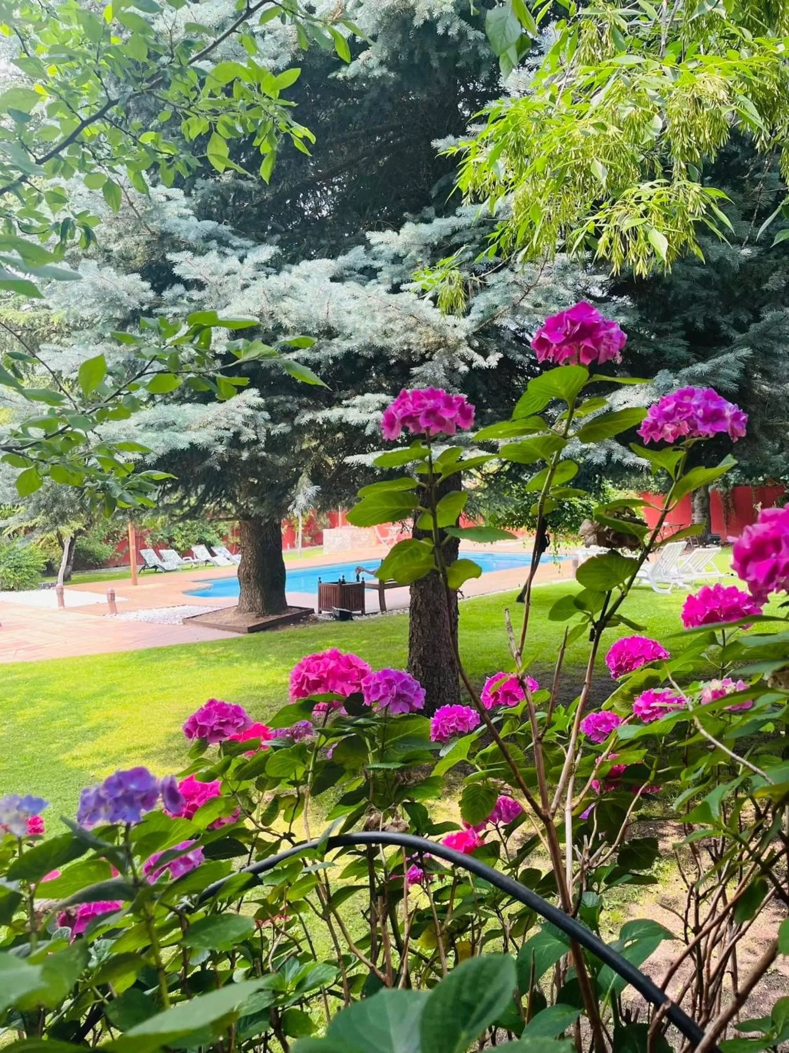 Natural landscape in B&B Concha