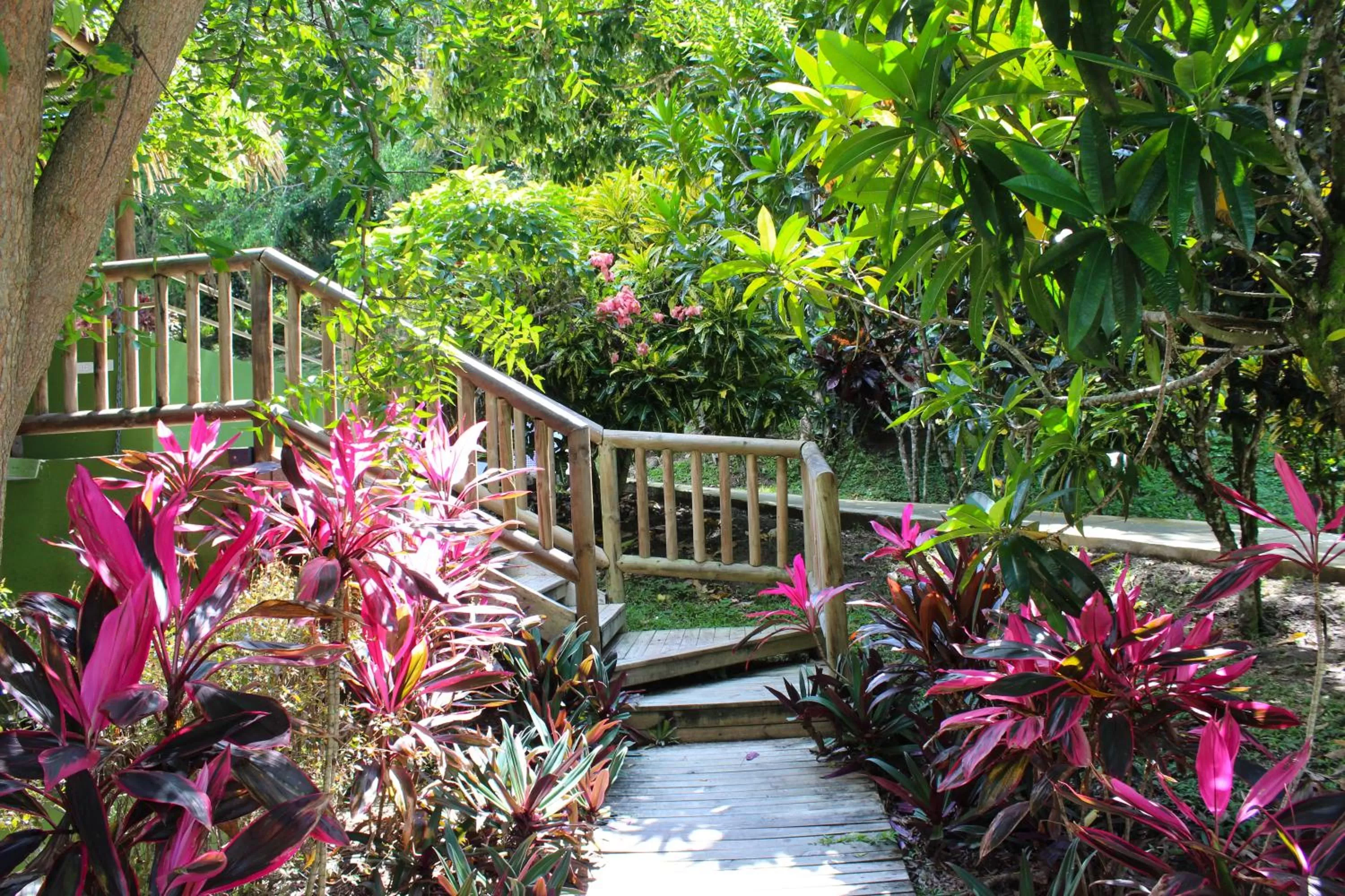 Patio in Rio Escondido
