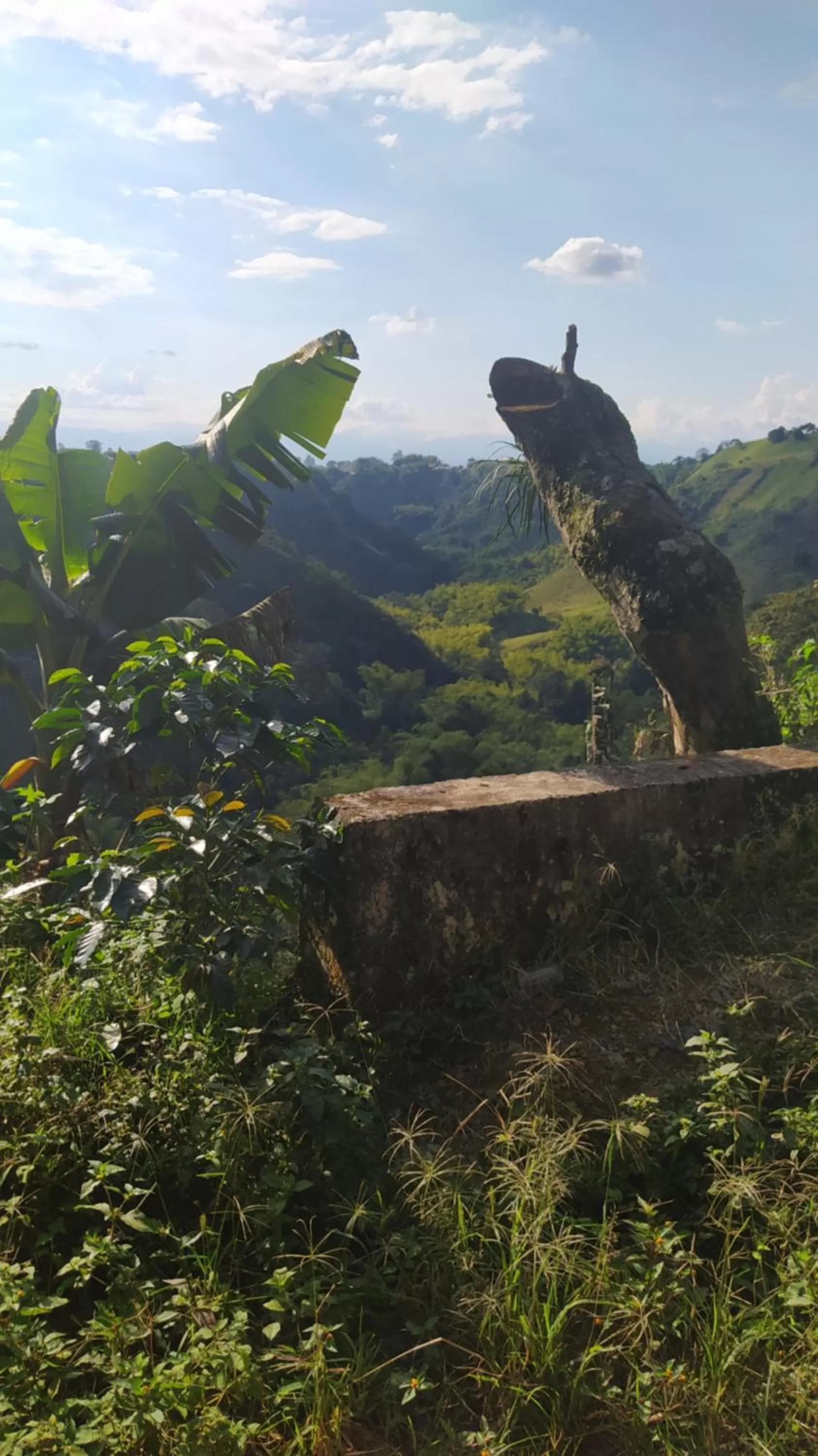 Other Animals in Villa Cristina - Casa Boutique