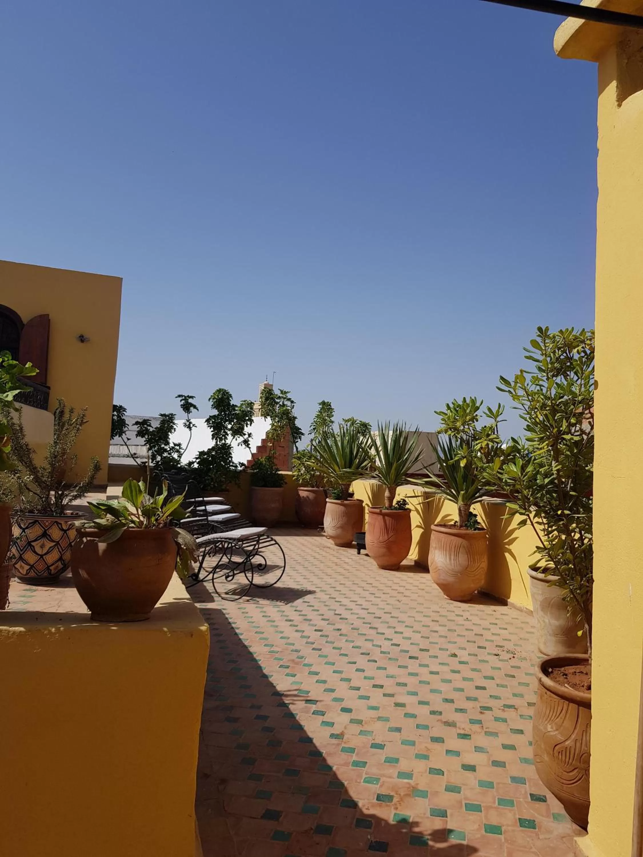 Garden in Riad Inspira