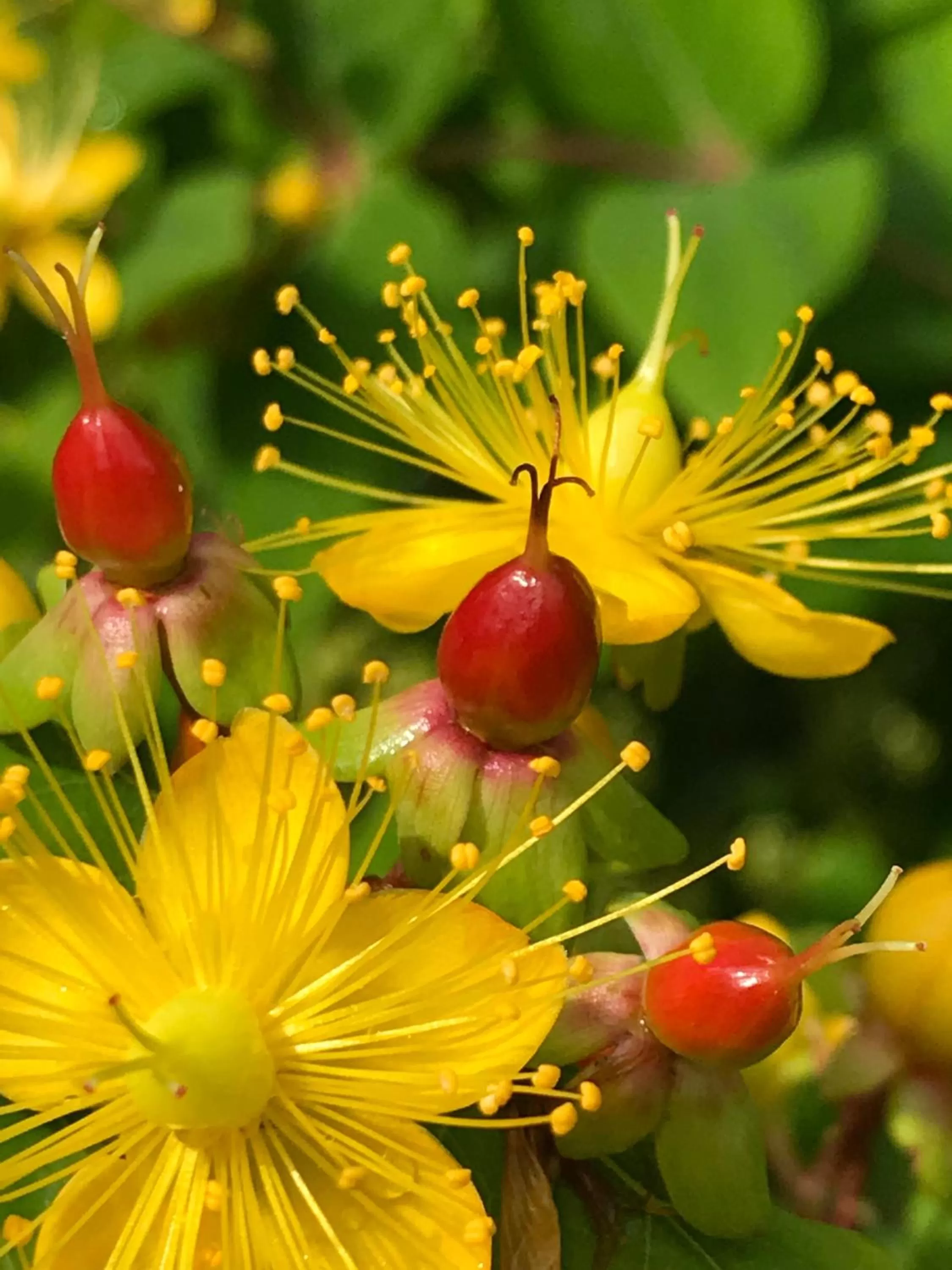 Food in Bed and Breakfast Bavaria München