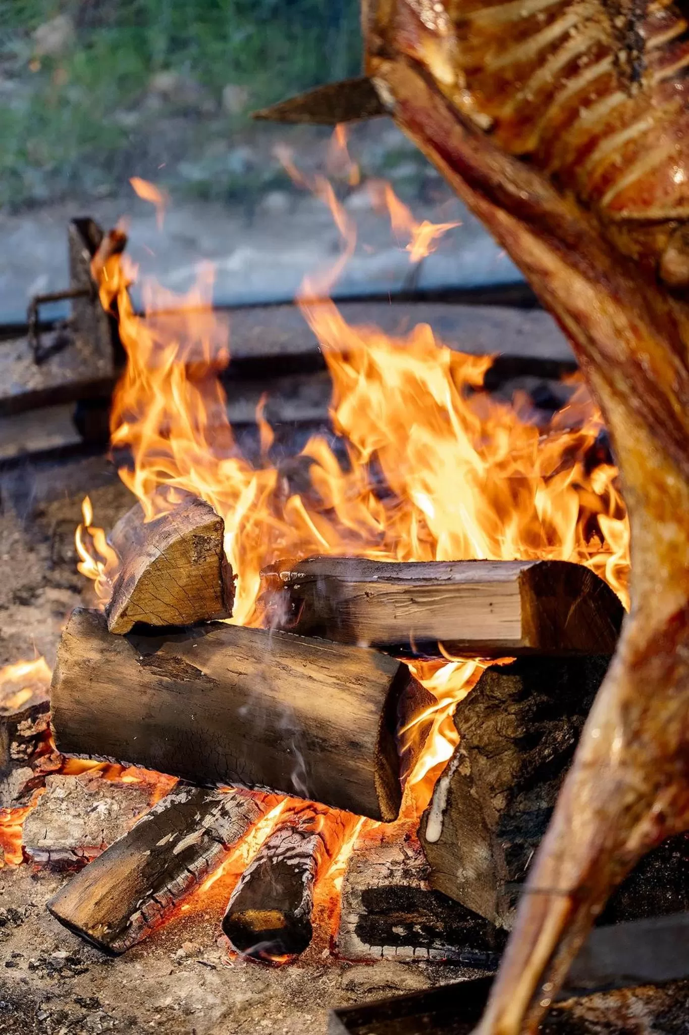 Restaurant/places to eat in Los Ñires Ushuaia