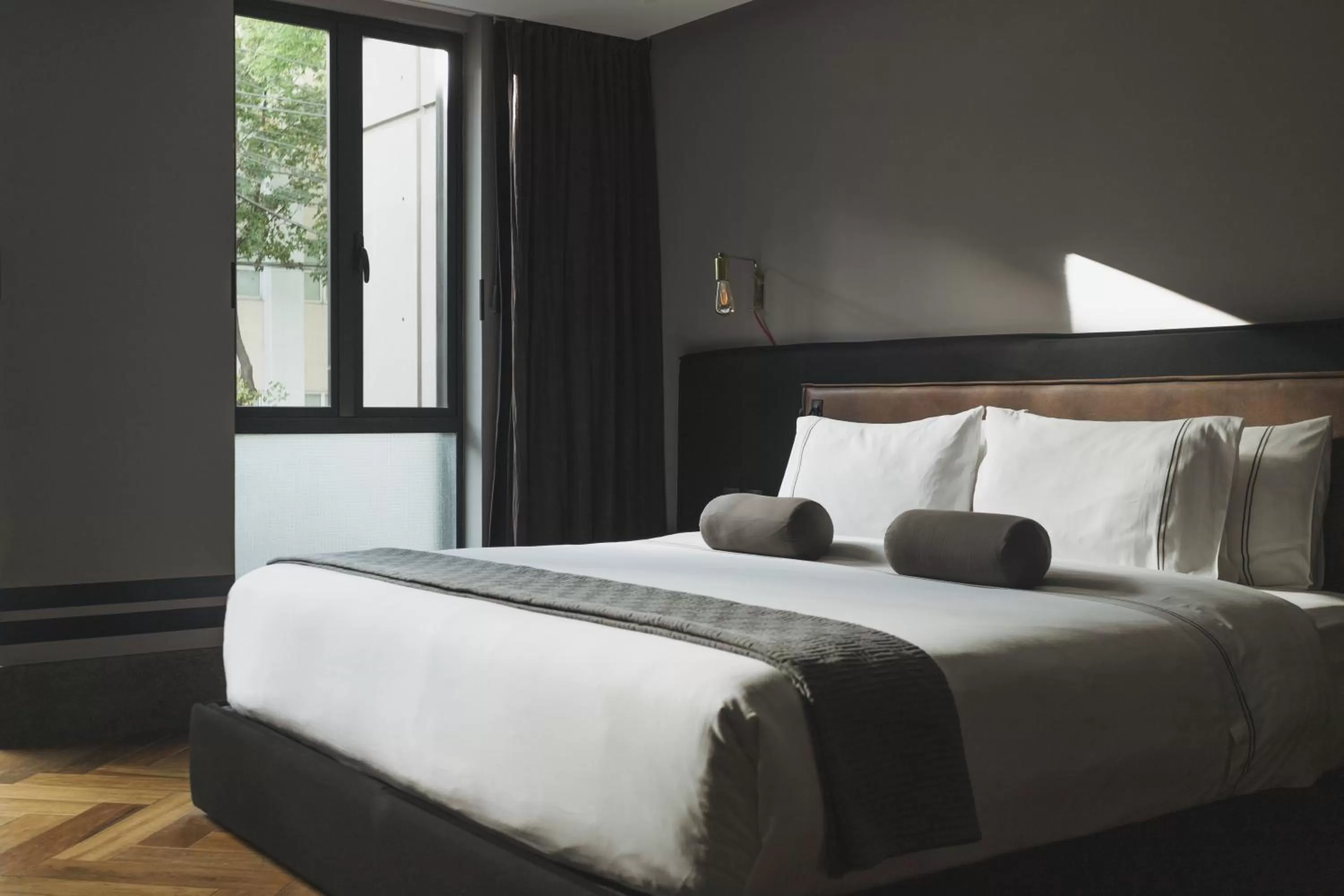 Bed in The Wild Oscar