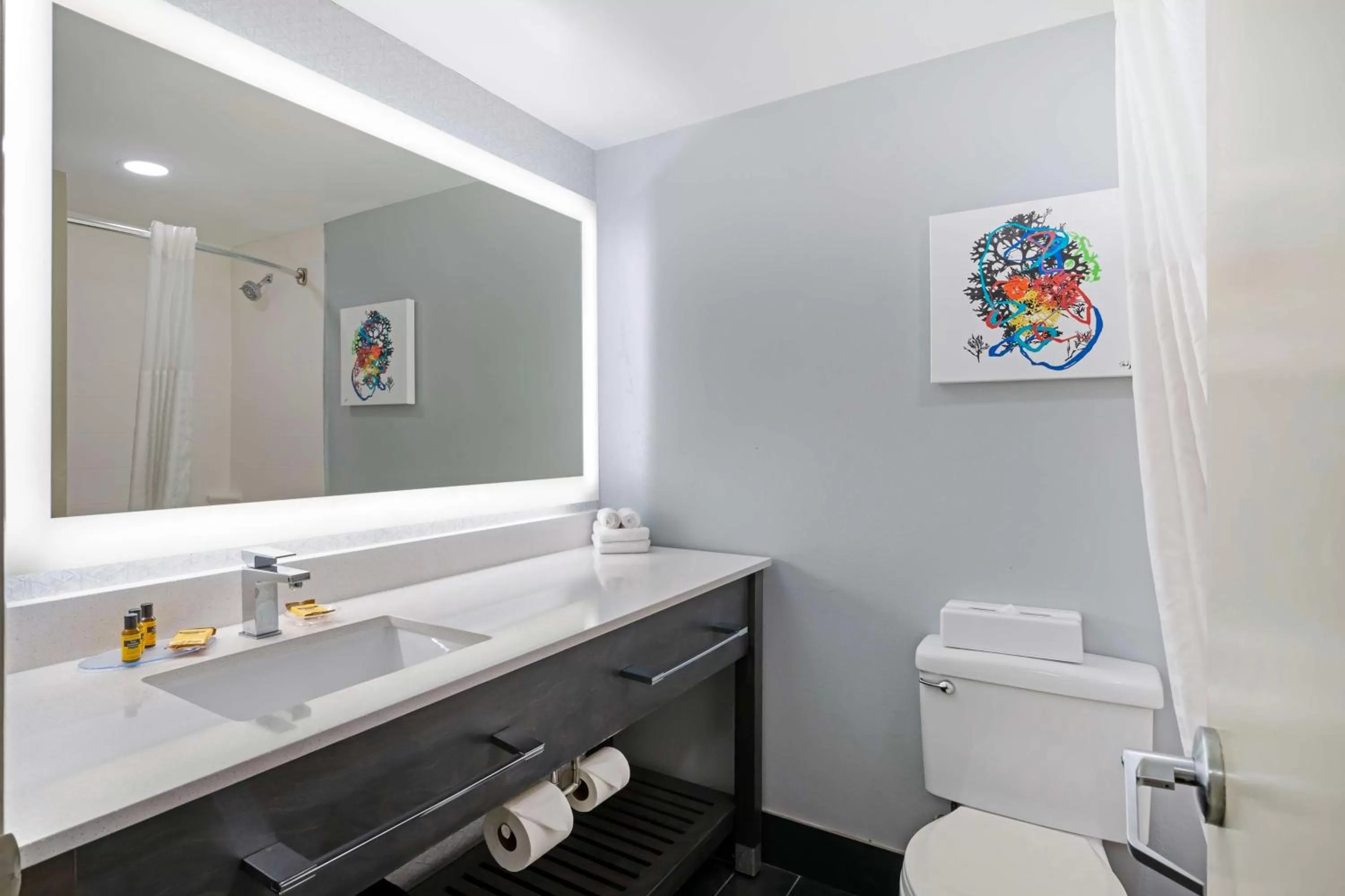 Bathroom in Best Western Plus Daytona Inn Seabreeze