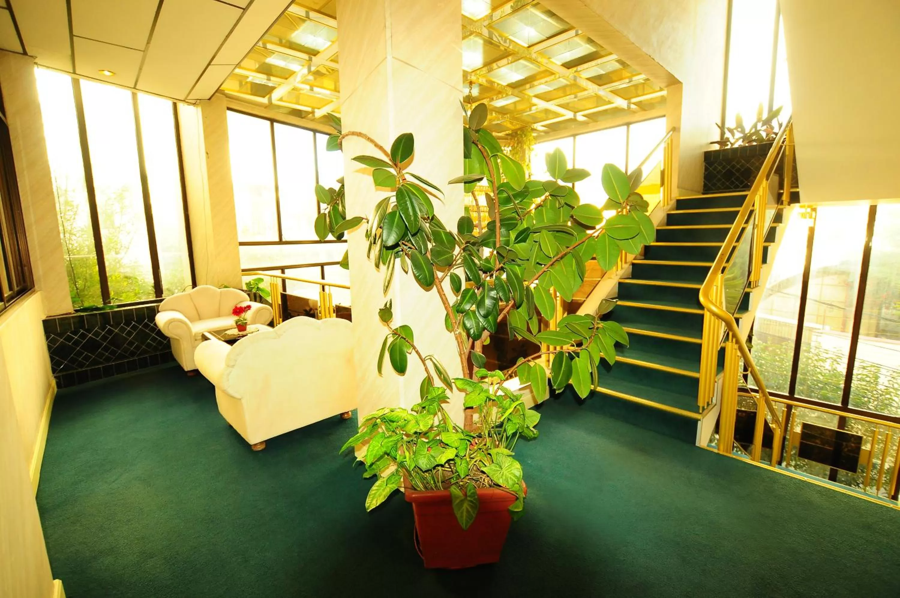 Lobby/Reception in Glorieta Hotel