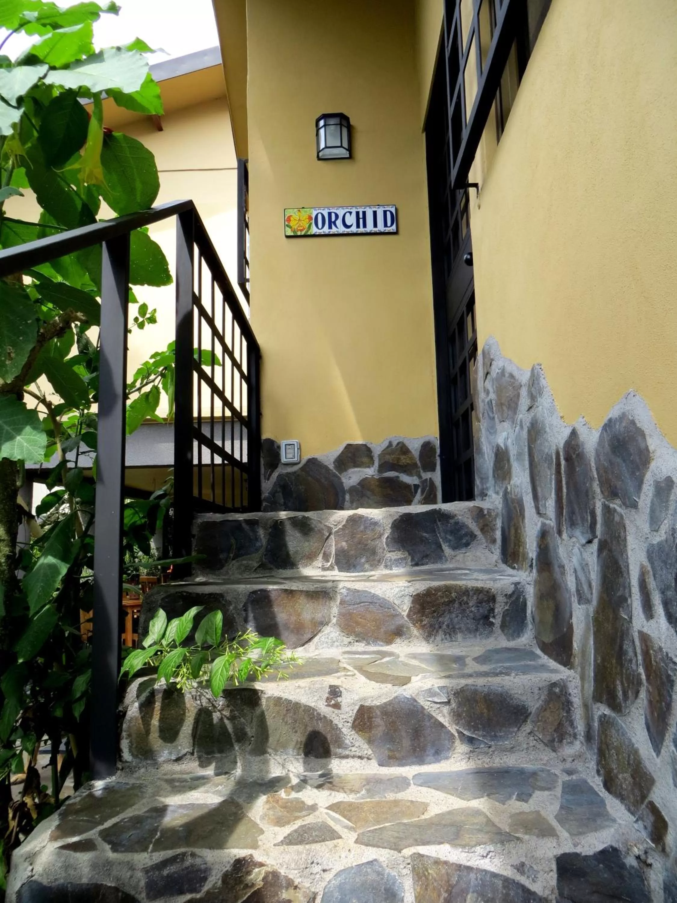 Garden in Pura Vida Hotel