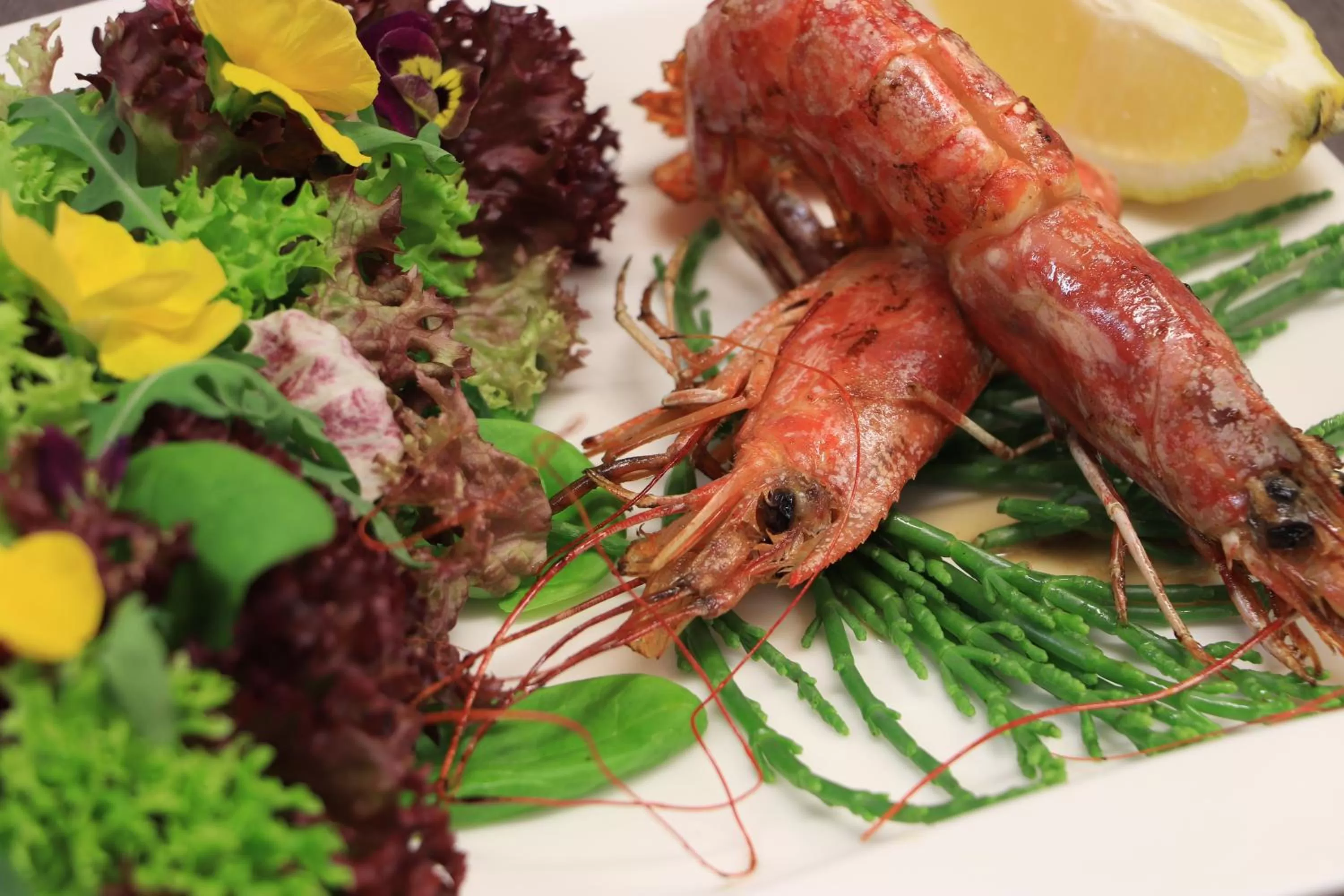 Restaurant/places to eat, Other Animals in Hotel Waldhäusel