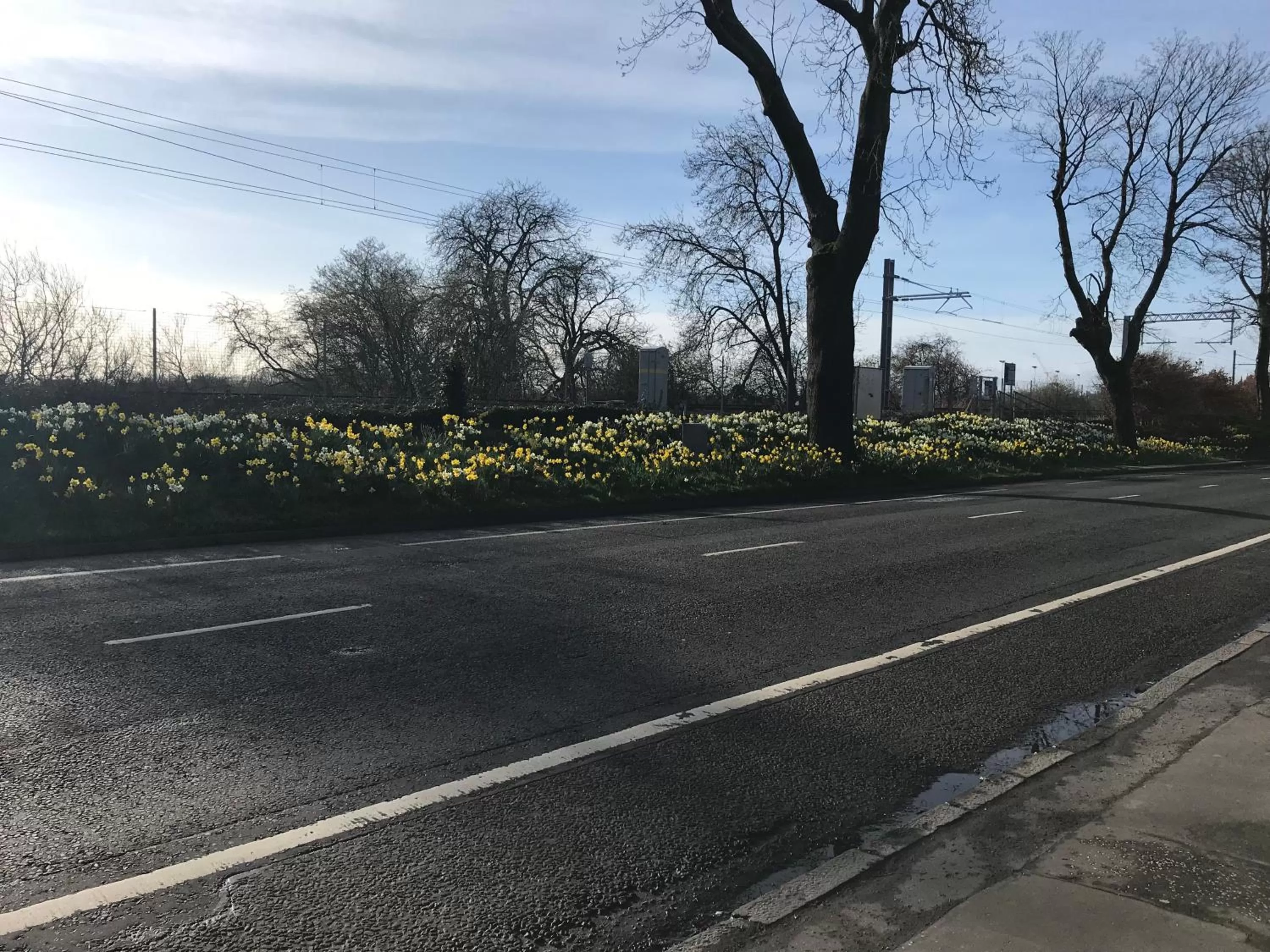 Other in Ravenswood Guest House