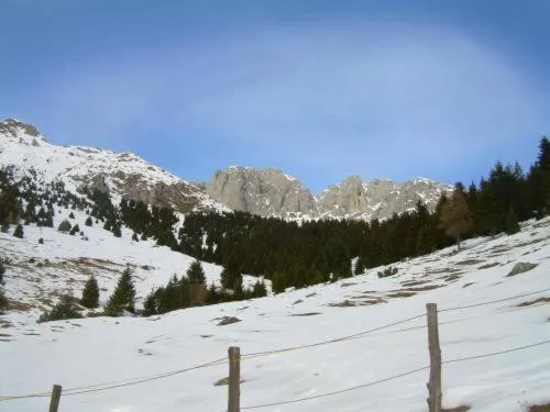 Area and facilities in Hotel Residence La Rosa