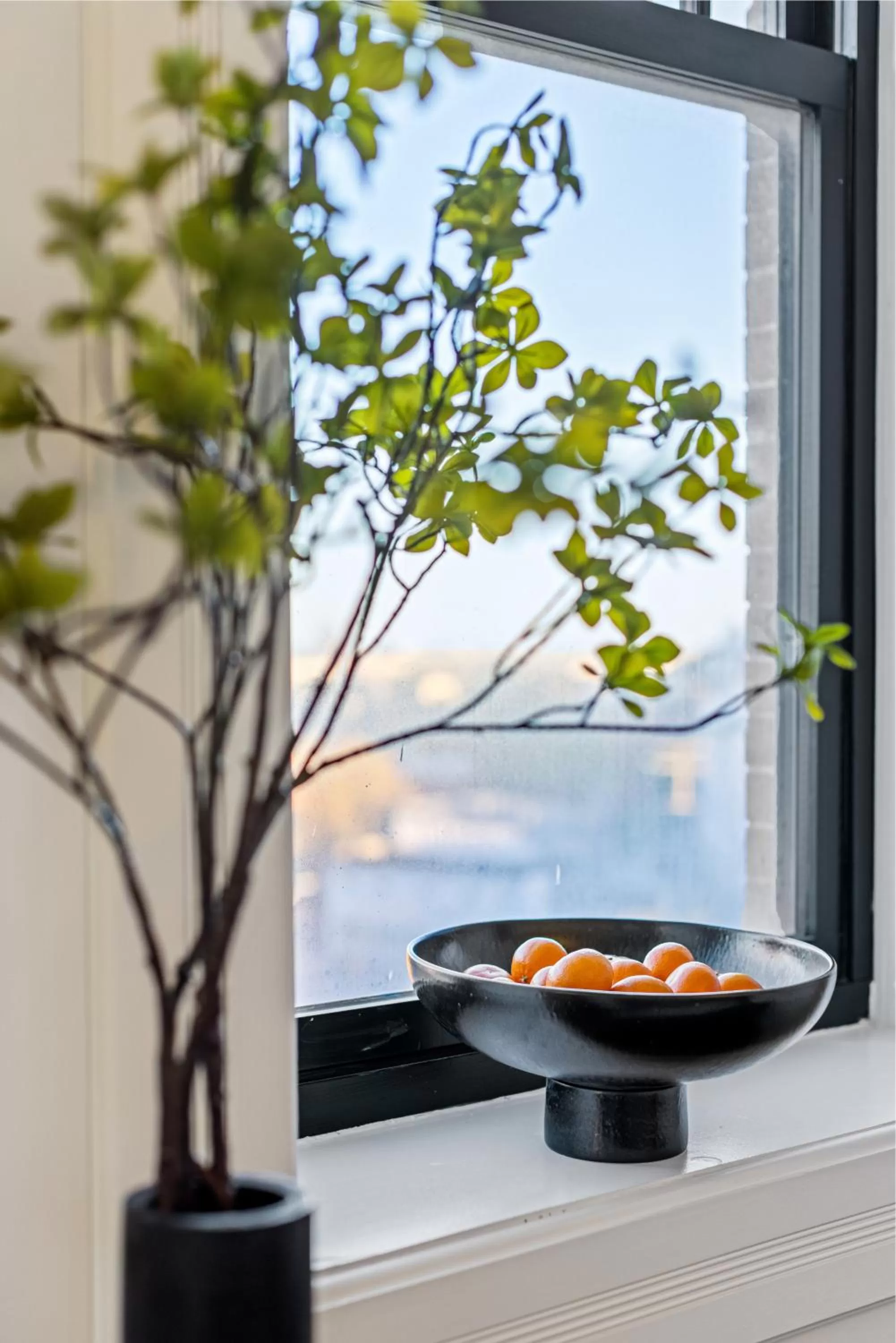 Natural landscape in Brexton Hotel