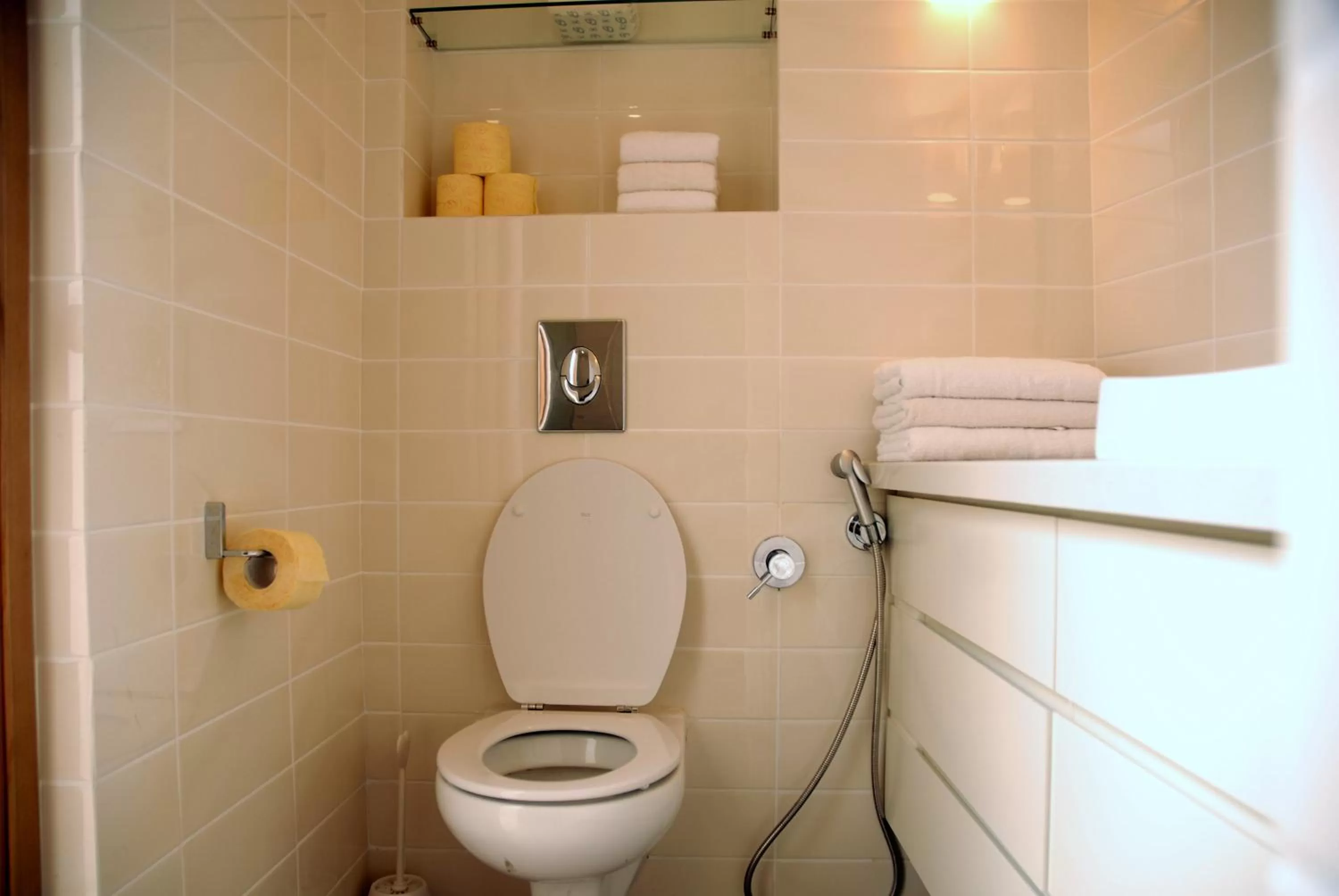 Toilet, Bathroom in Raphael Apartments