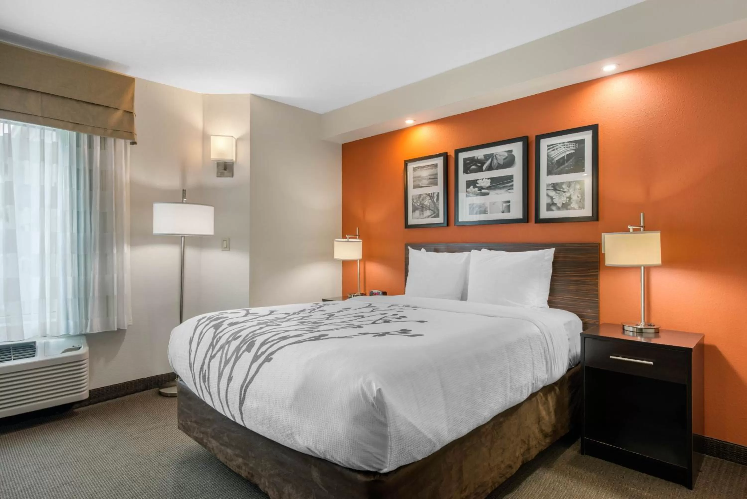 King Room - Non-Smoking in Sleep Inn Clearwater-St Petersburg