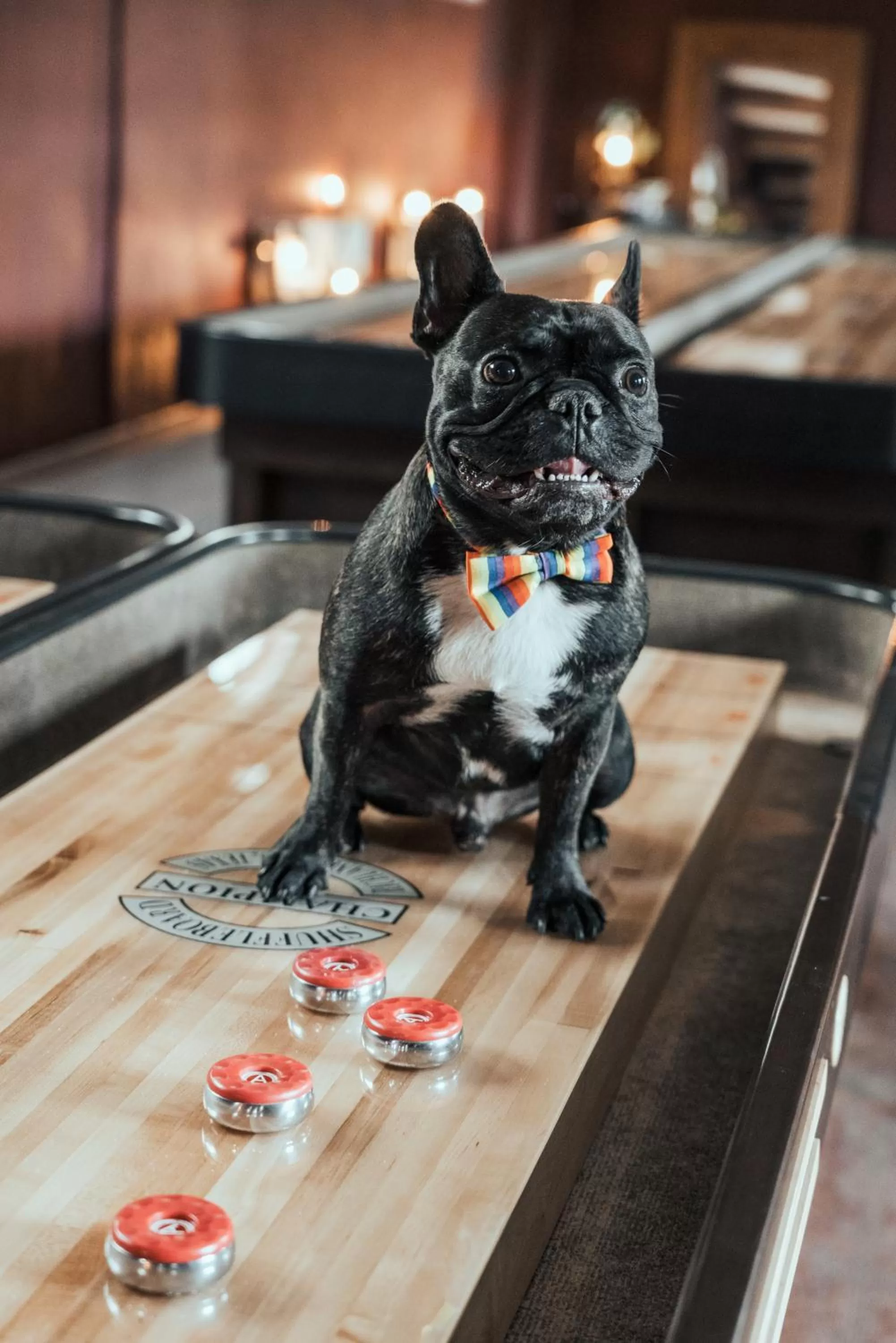 Game Room in Botanika Uppsala