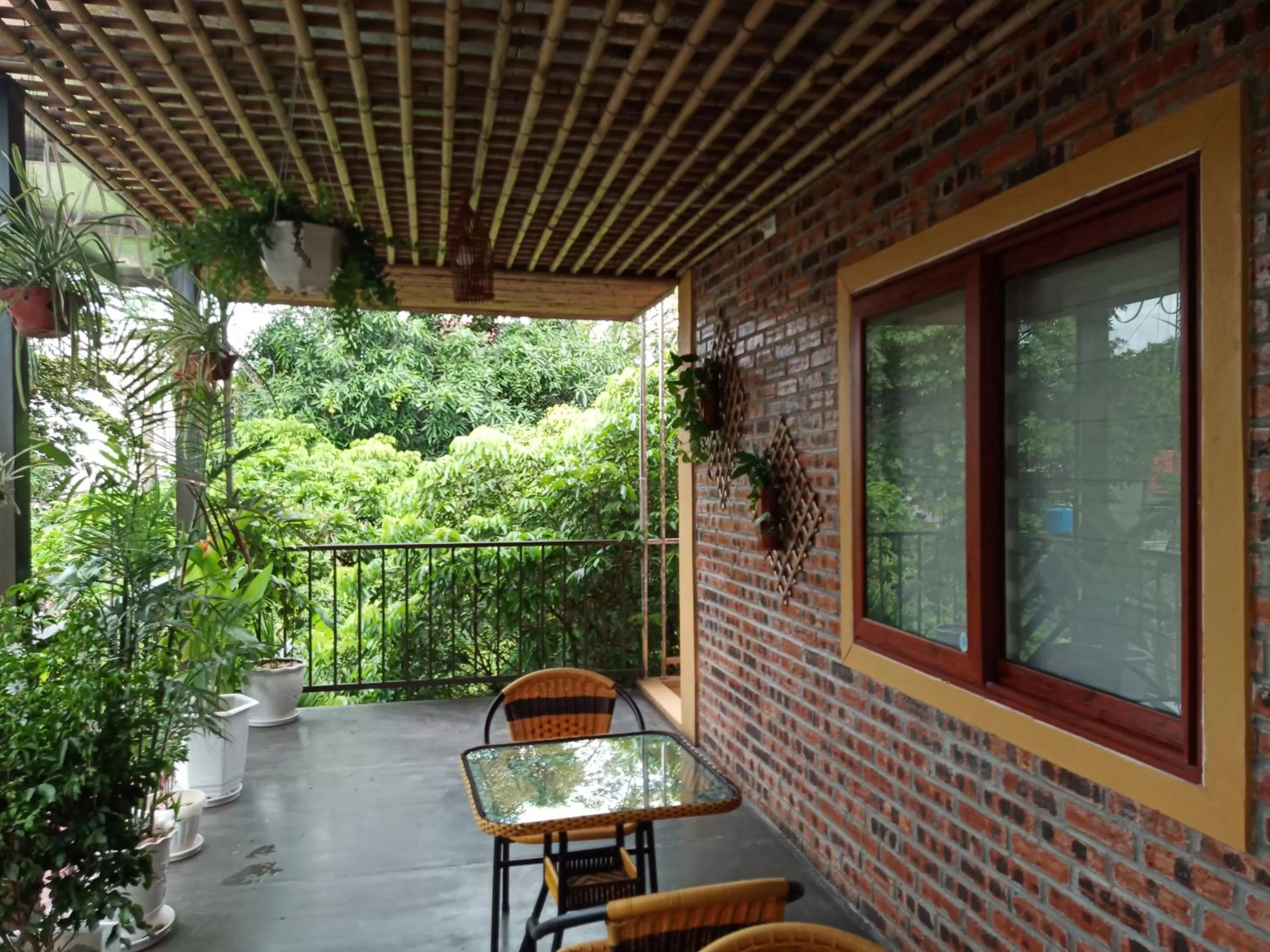 Balcony/Terrace in Green Space Homestay