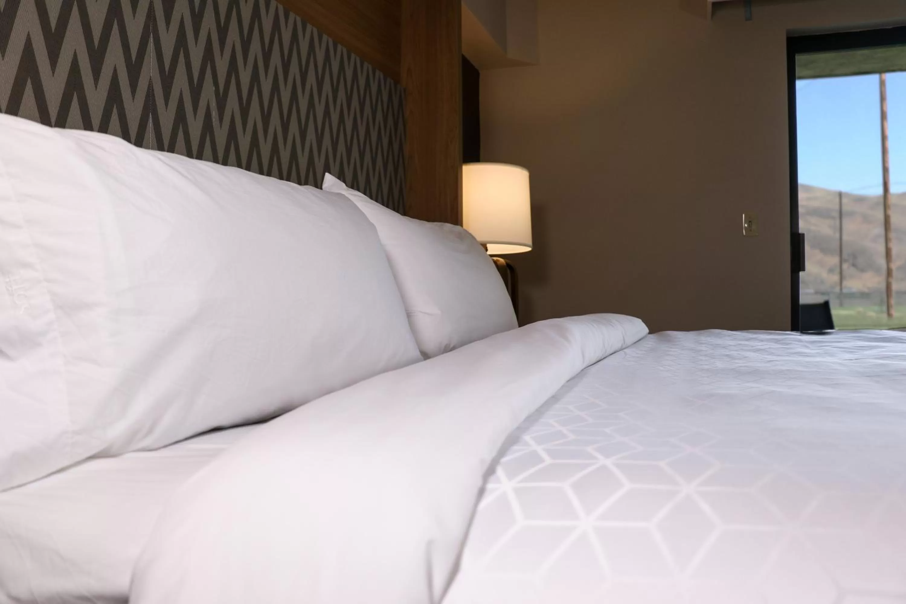 Photo of the whole room, Bed in Holiday Inn Clarkston - Lewiston by IHG