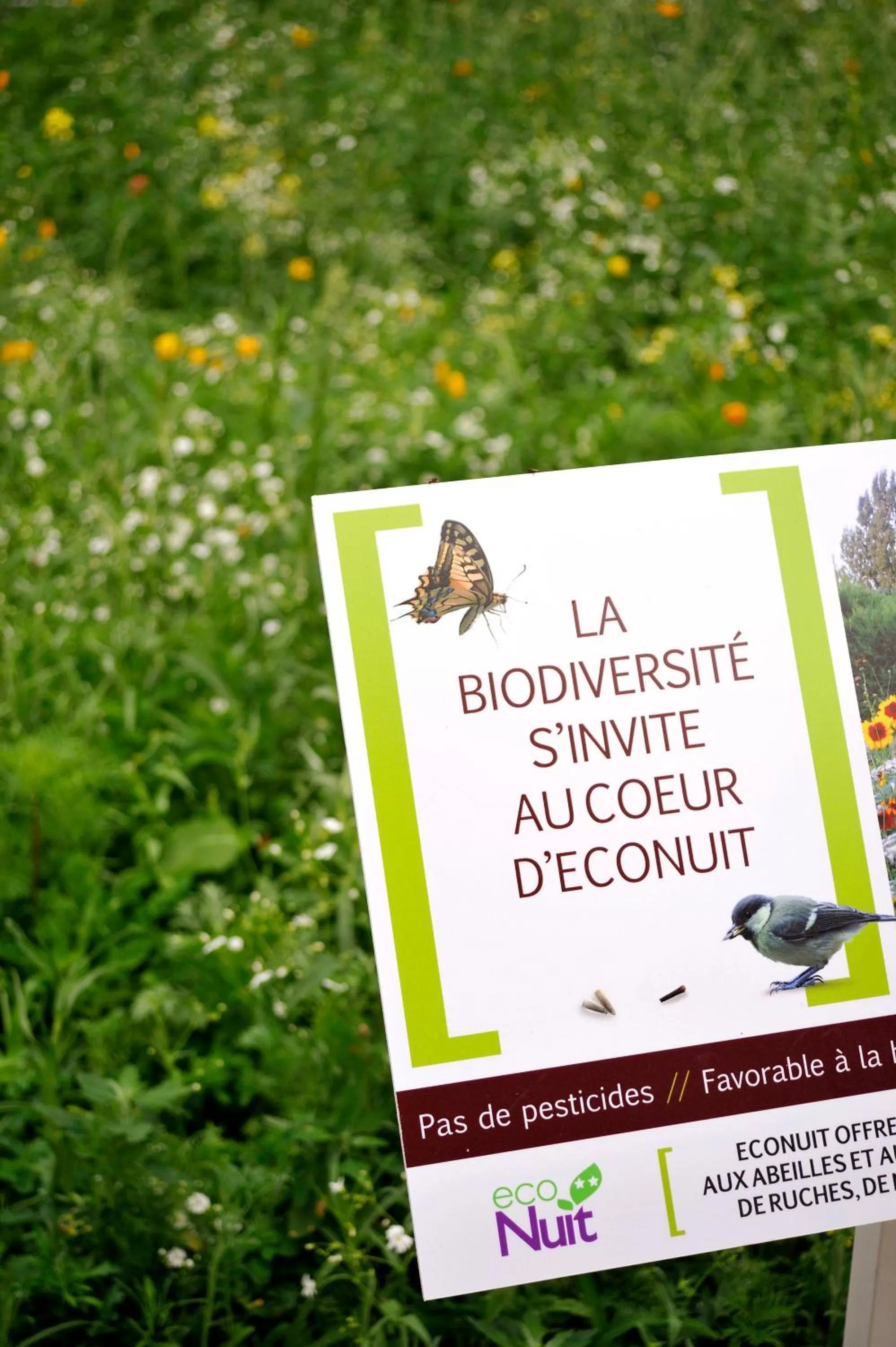 Other in Eco Nuit La Baule Guerande