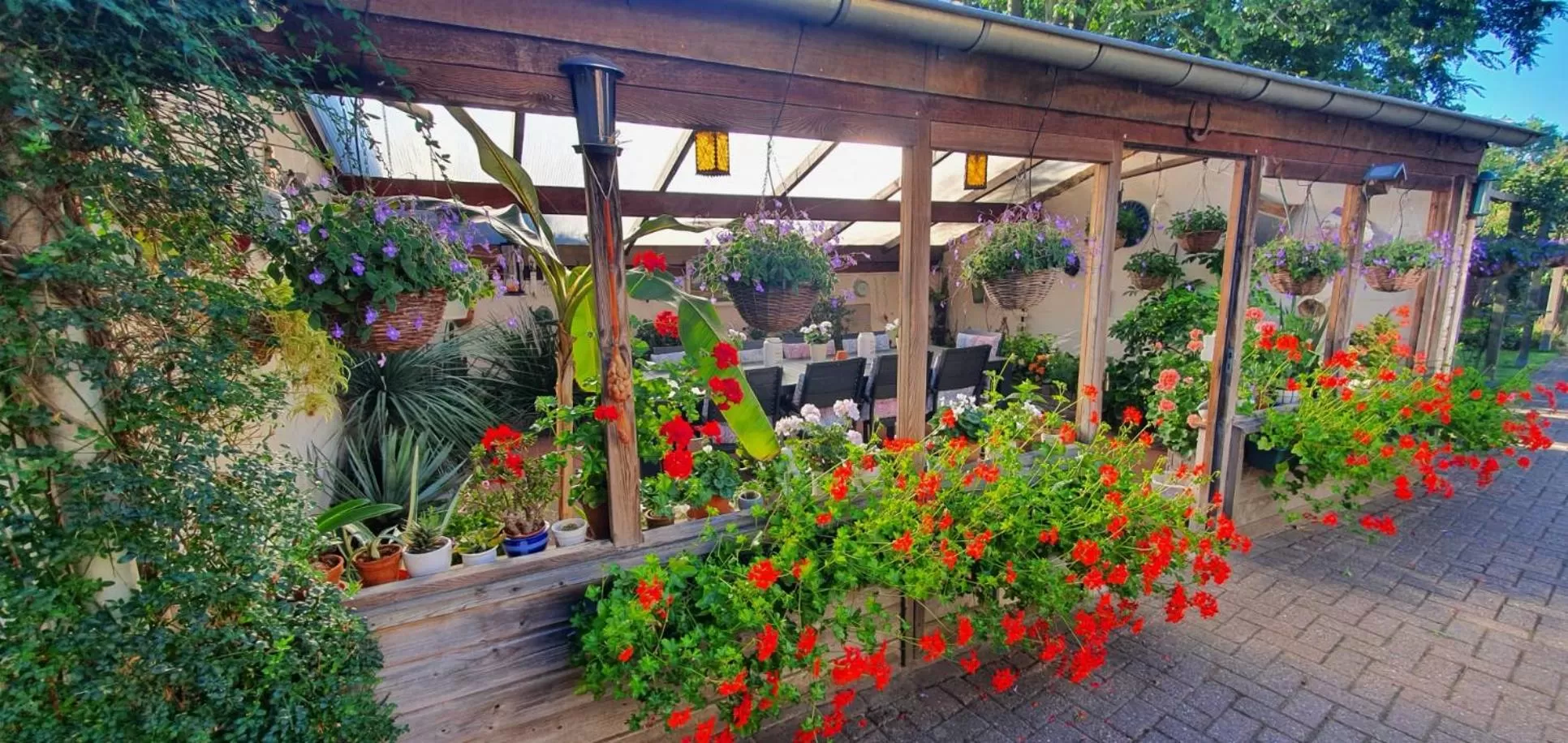 Garden in B&B Knooppunt70