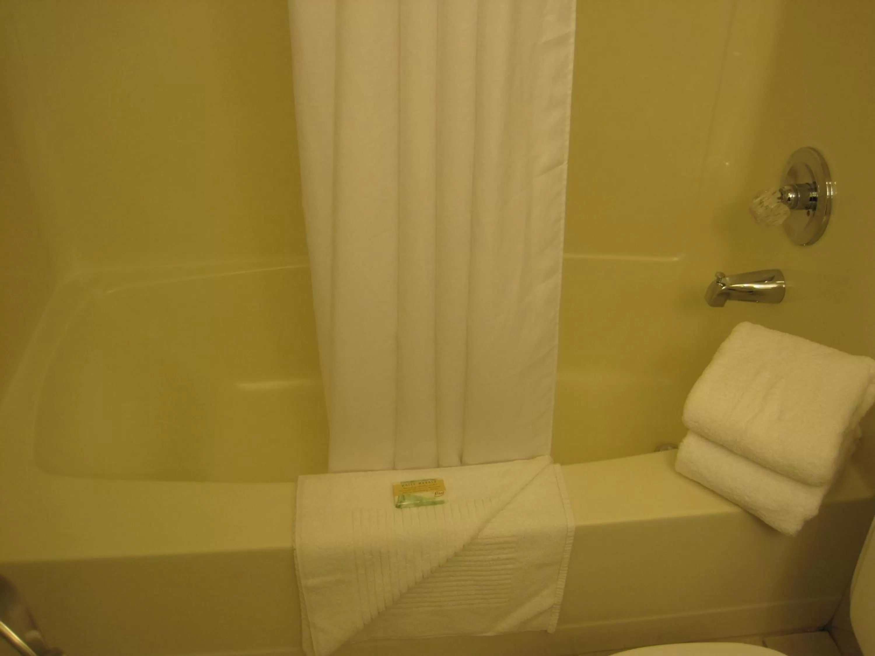 Shower in Anacortes Ship Harbor Inn