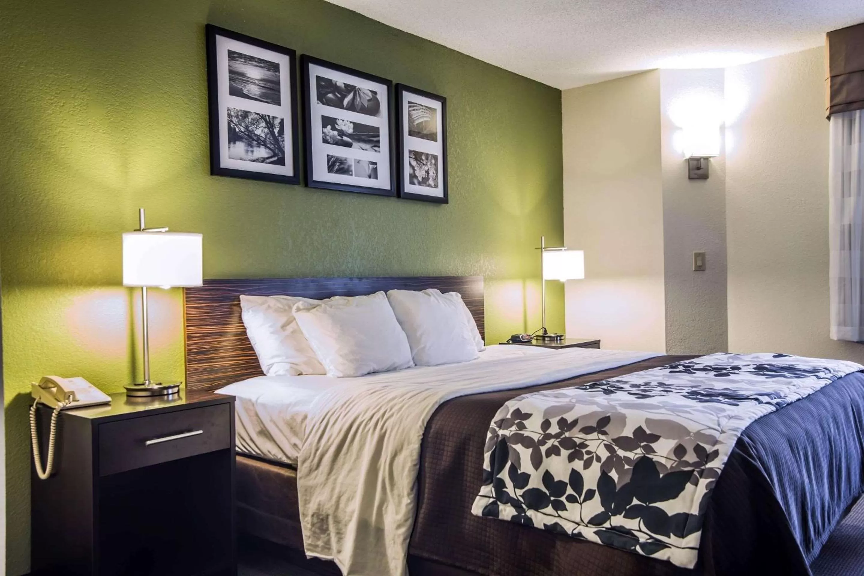 Photo of the whole room, Bed in Sleep Inn Columbia Airport