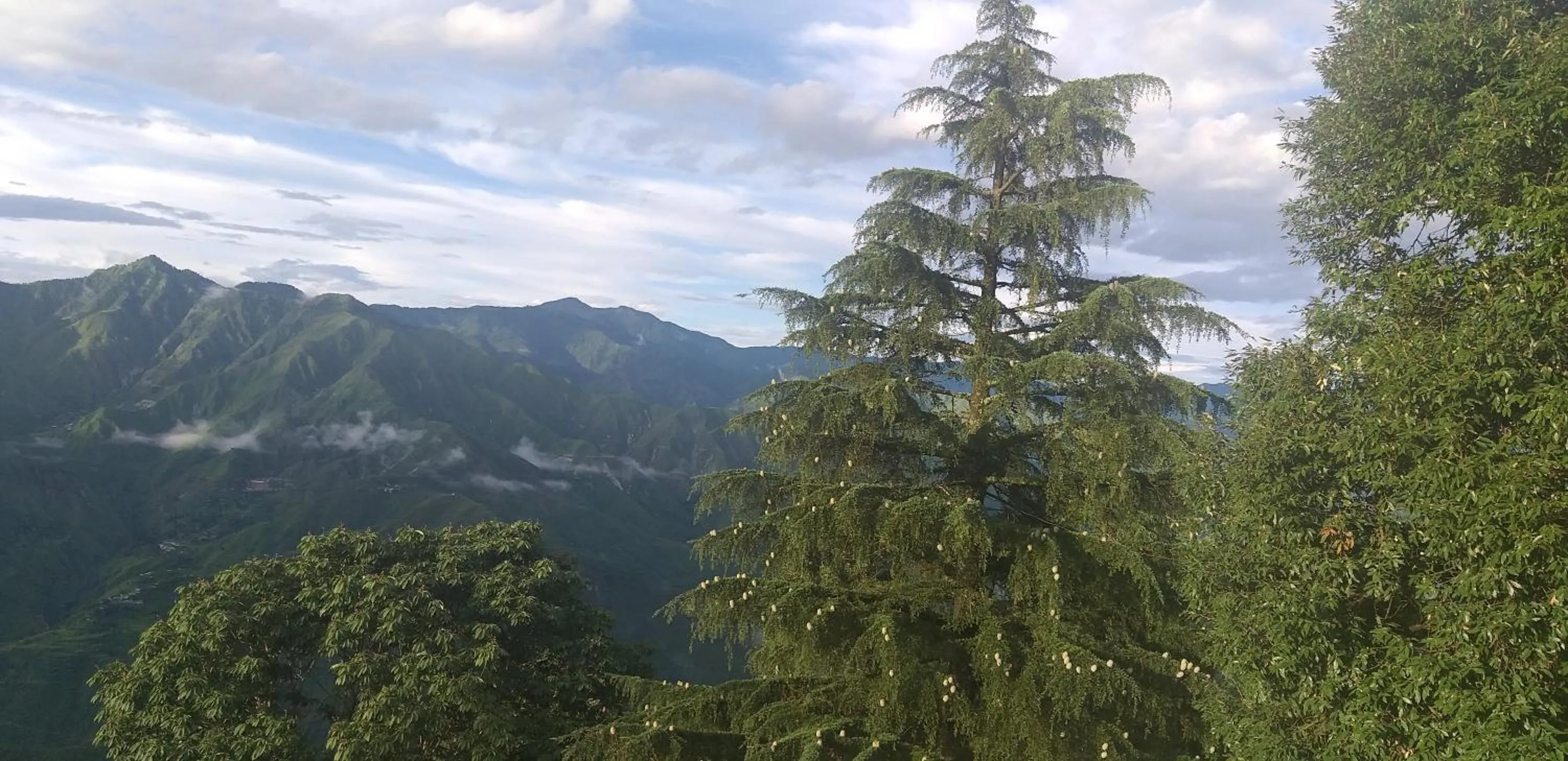 Natural landscape in Hotel SunGrace